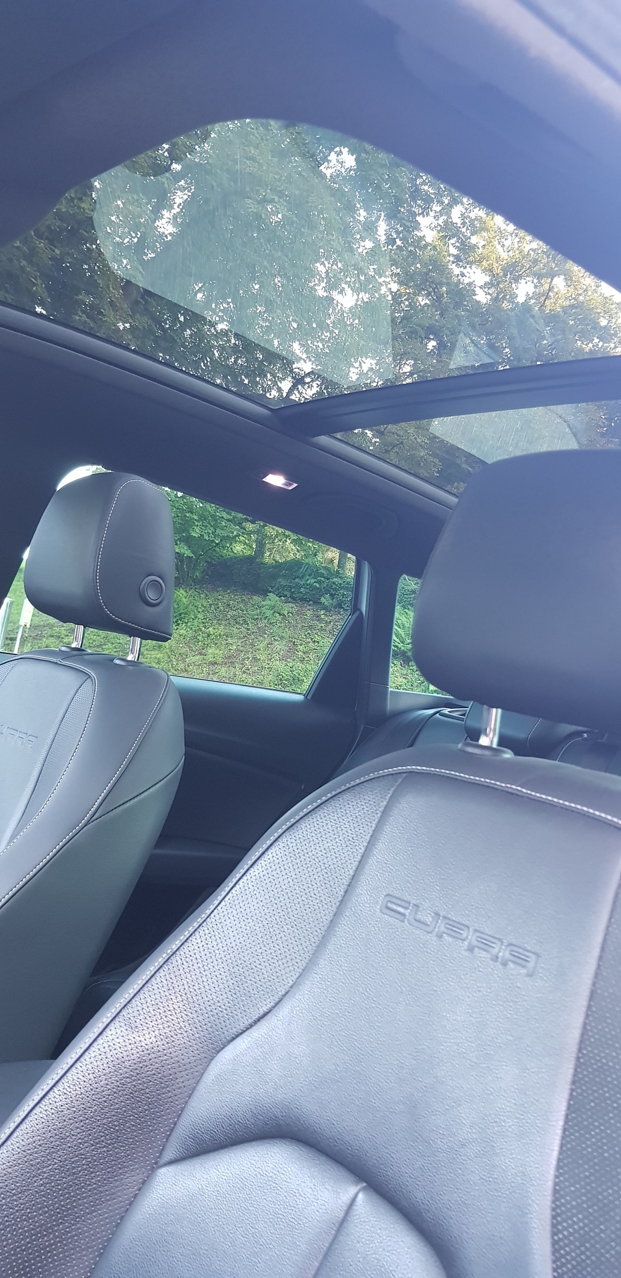 SEAT Leon ST 2.0 TSI Cupra 280 DSG-image-6
