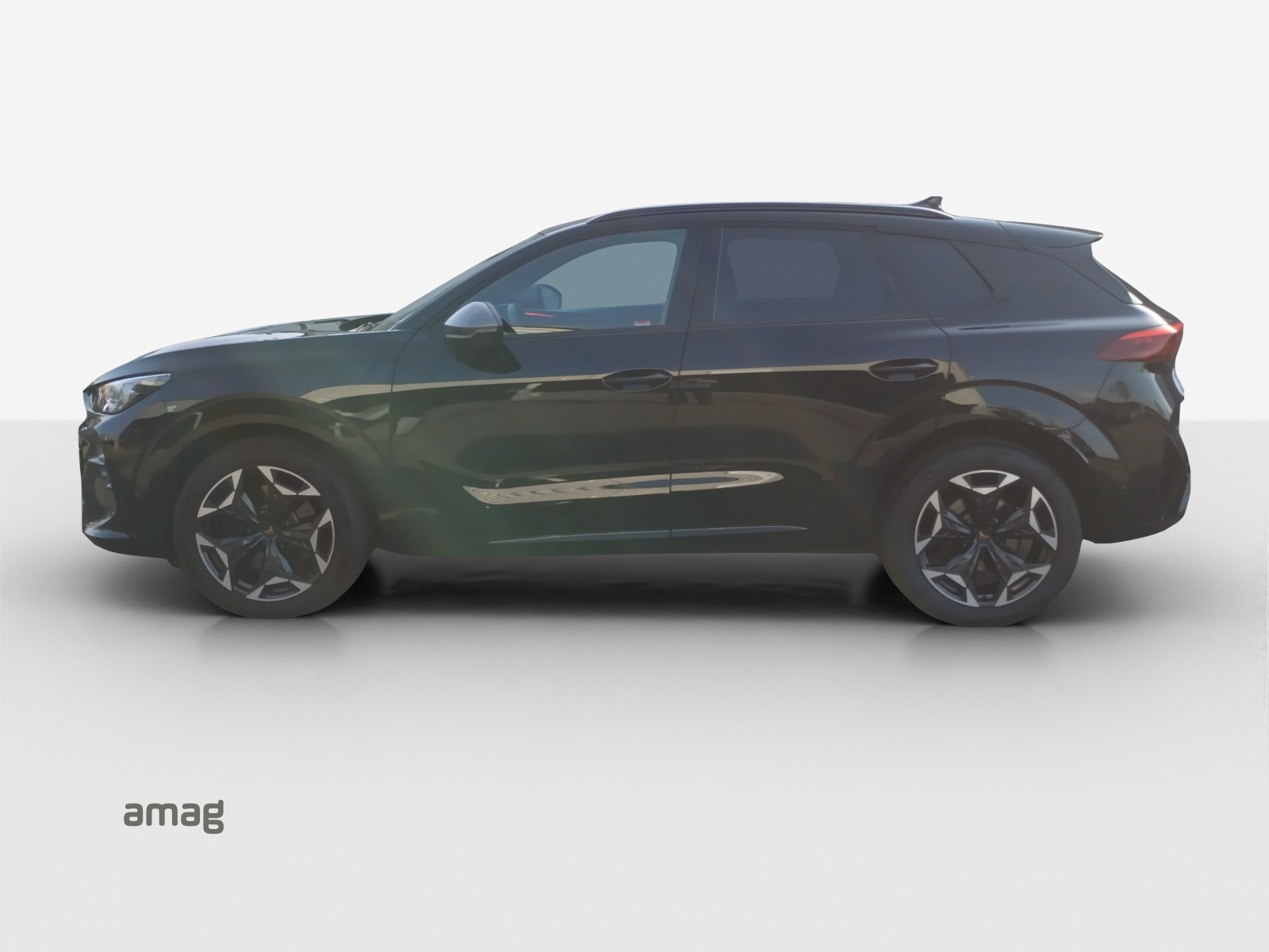 CUPRA Terramar 2.0 TSI DSG 4Drive VZ-image-1