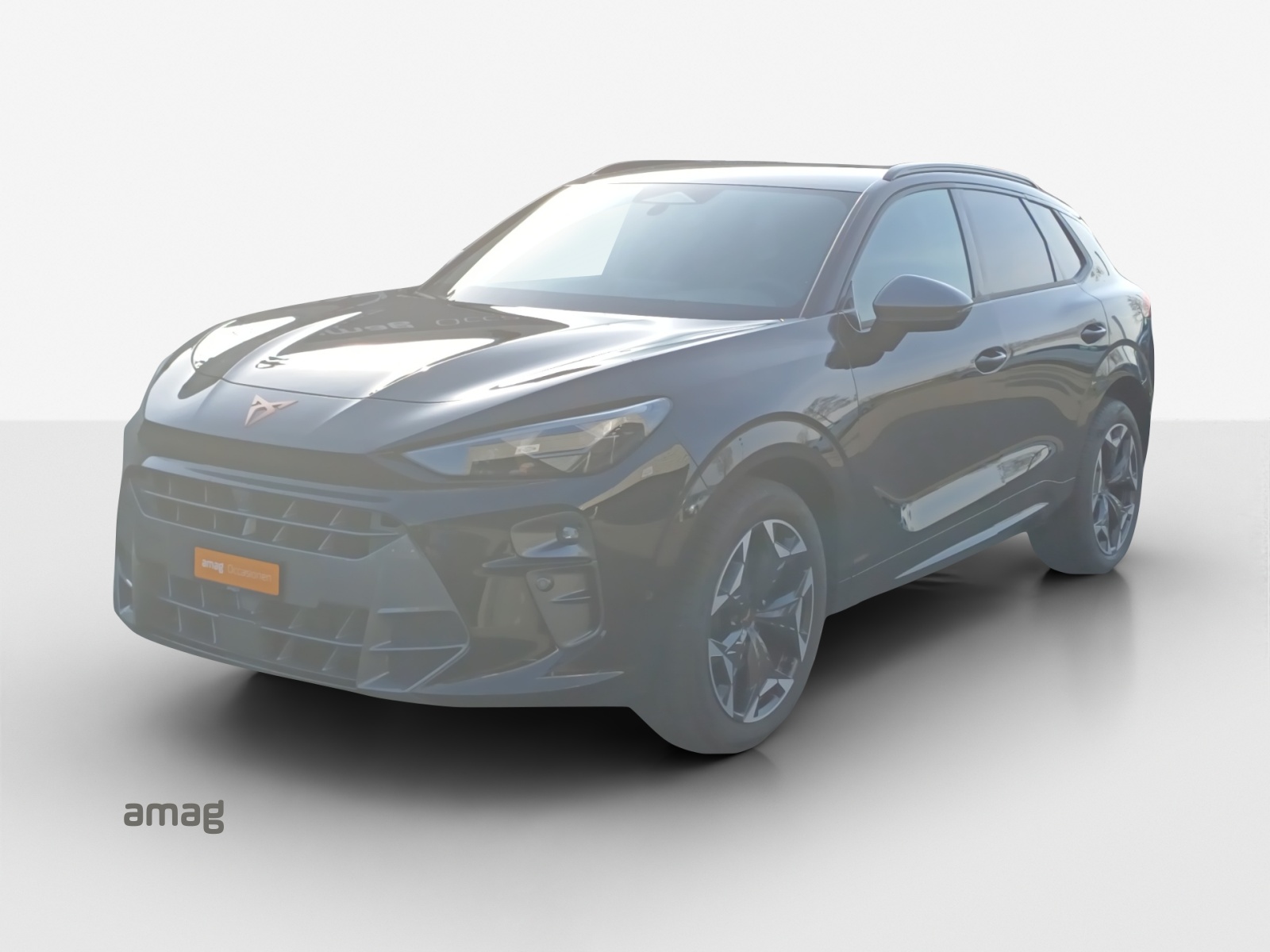 CUPRA Terramar 2.0 TSI DSG 4Drive VZ-image-0