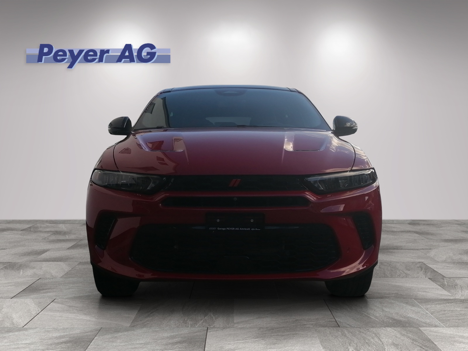 DODGE Hornet-image-0