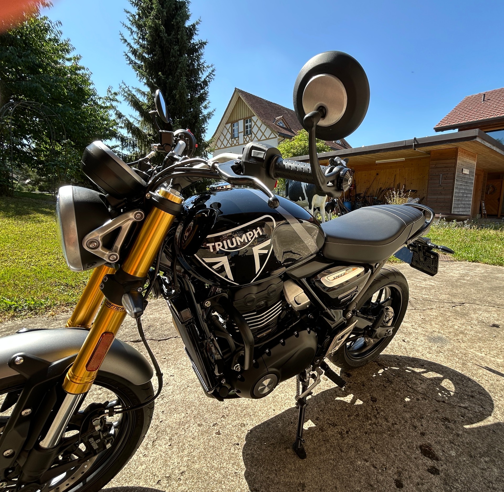 TRIUMPH Speed 400-image-2