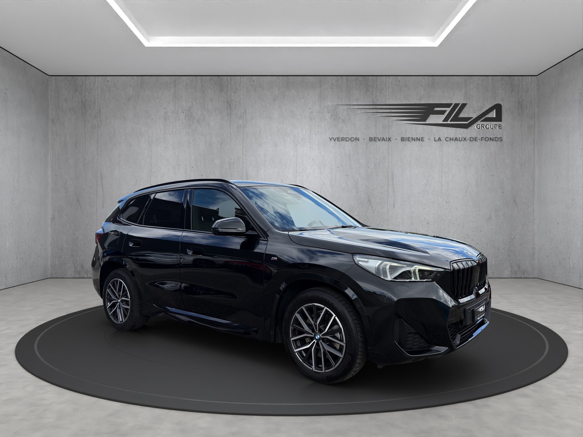 BMW X1 U11 23i xDrive-image-6