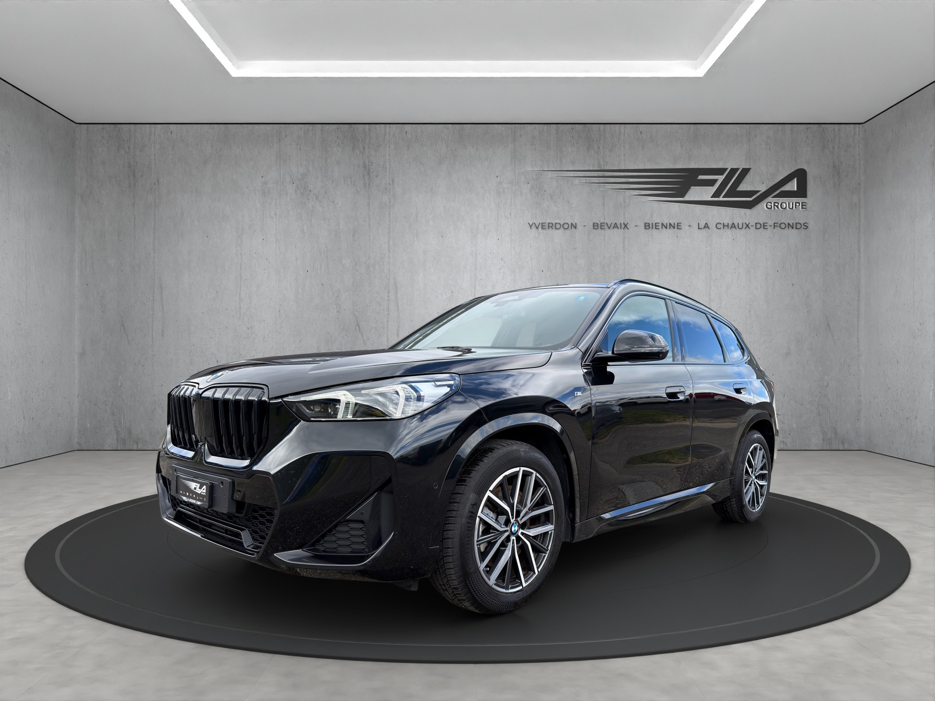 BMW X1 U11 23i xDrive-image-1