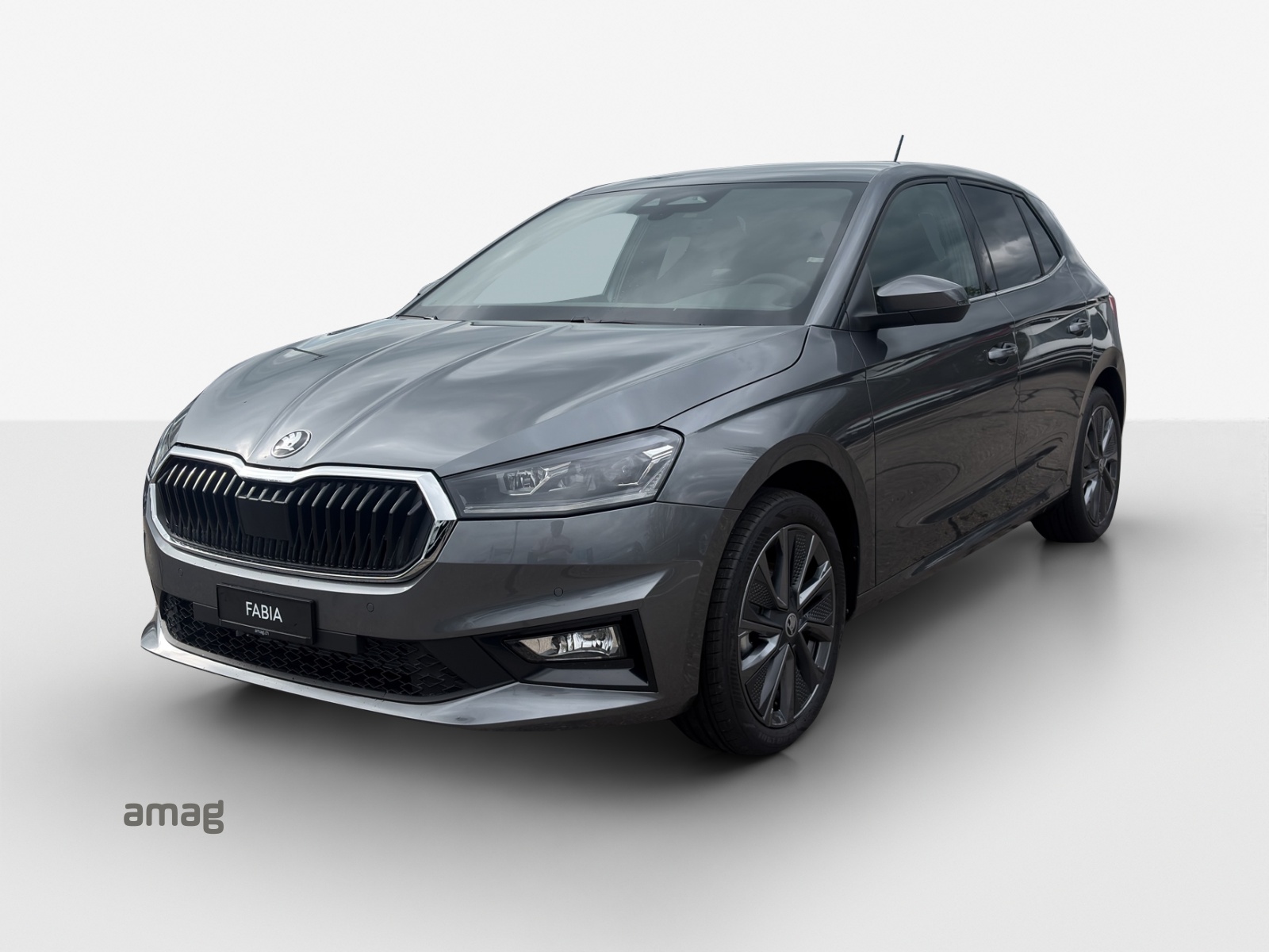 SKODA Fabia 1.0 TSI Dynamic DSG-image-0
