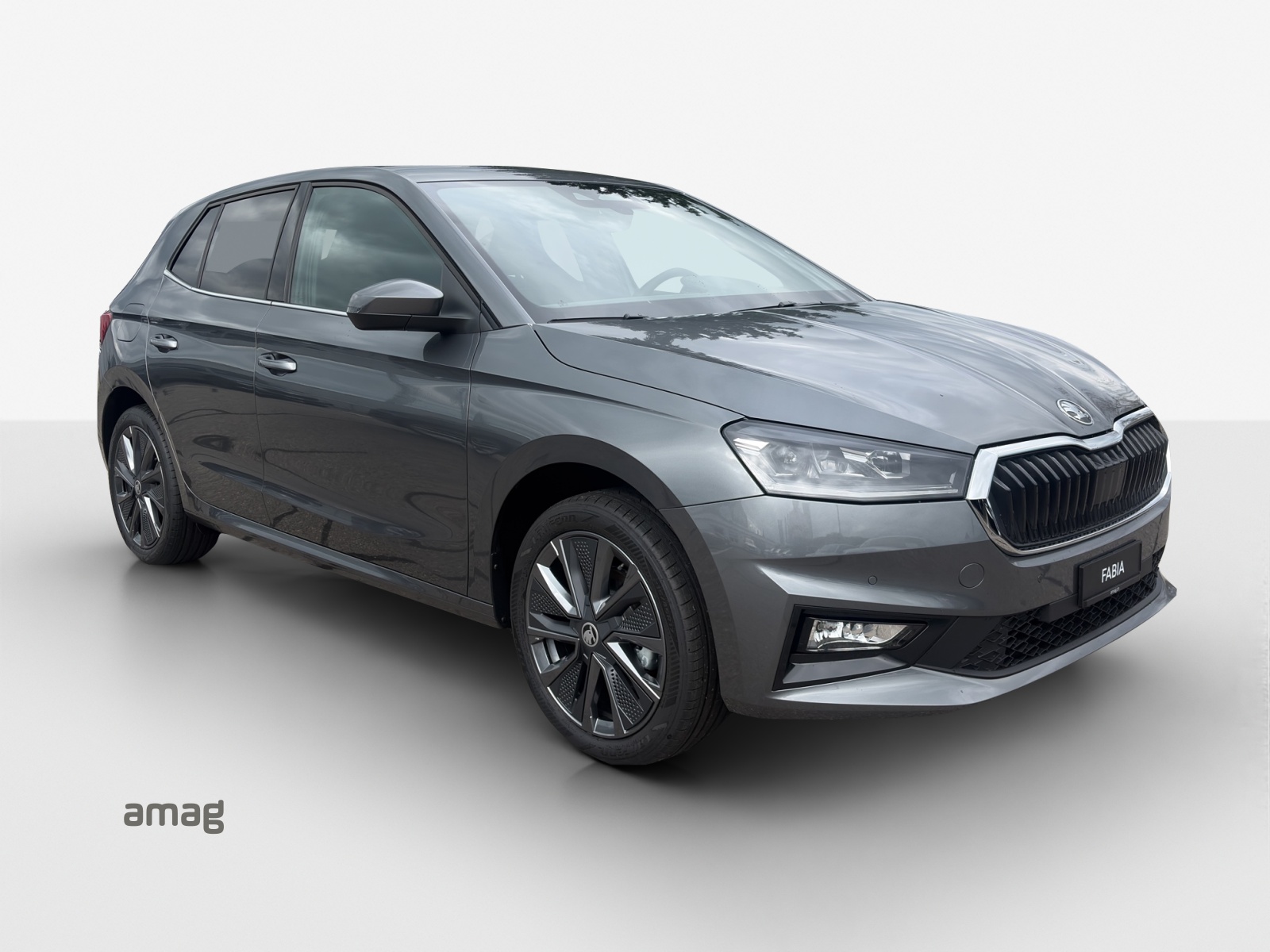 SKODA Fabia 1.0 TSI Dynamic DSG-image-5