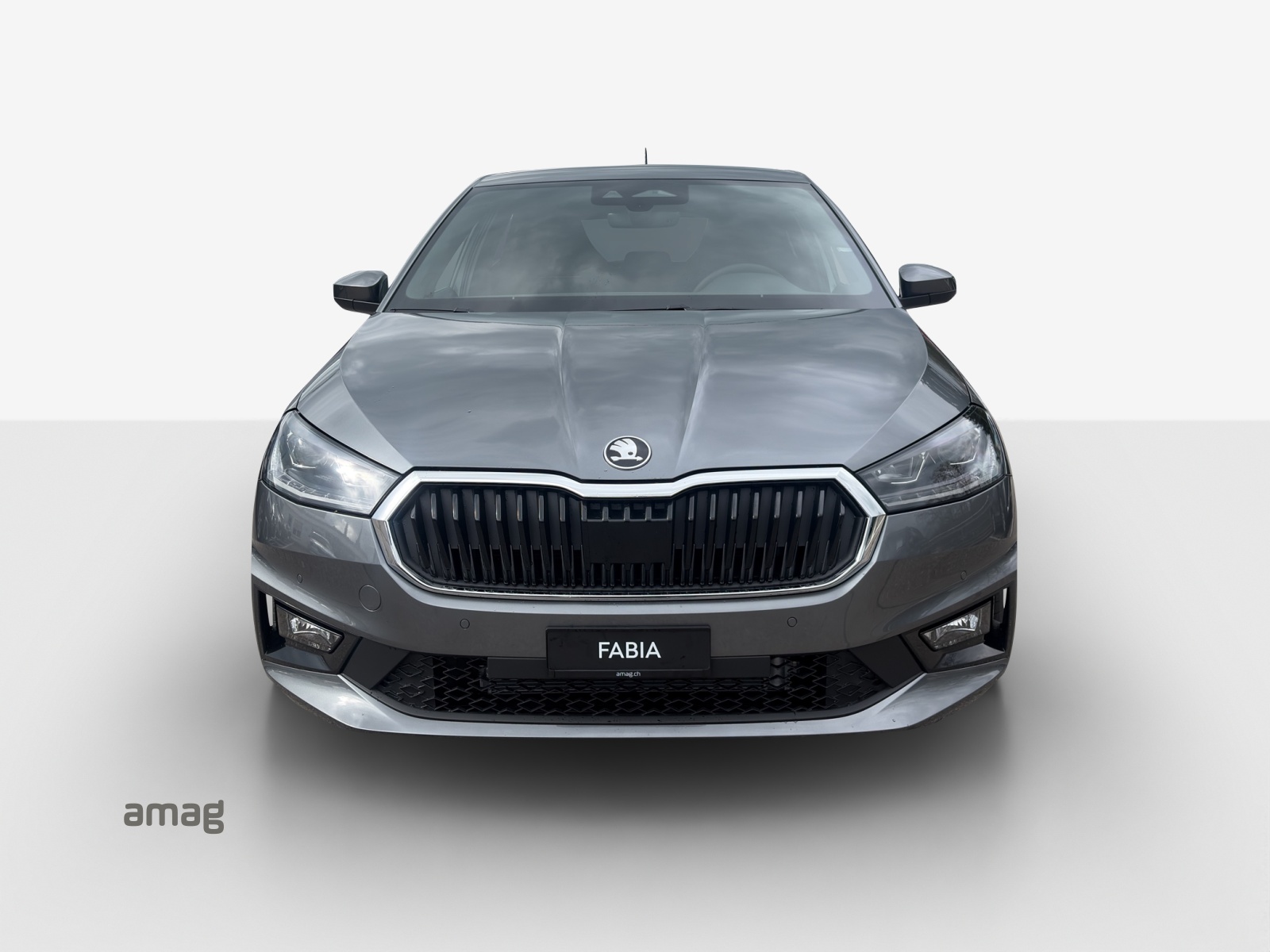 SKODA Fabia 1.0 TSI Dynamic DSG-image-6