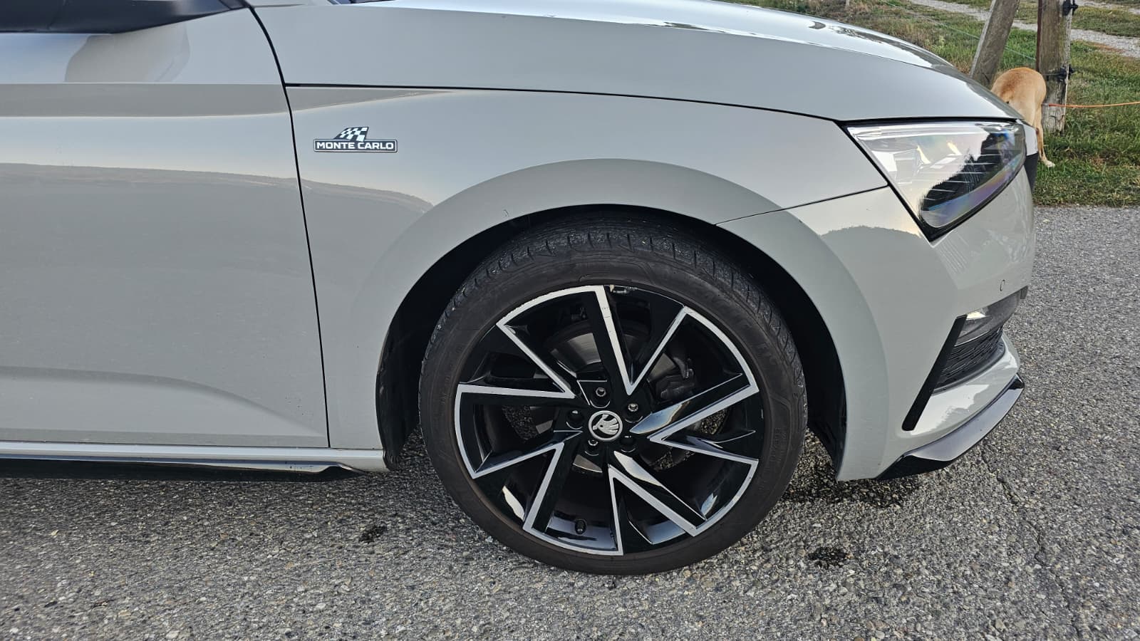 SKODA 1.5 TSI Monte Carlo DSG-image-10