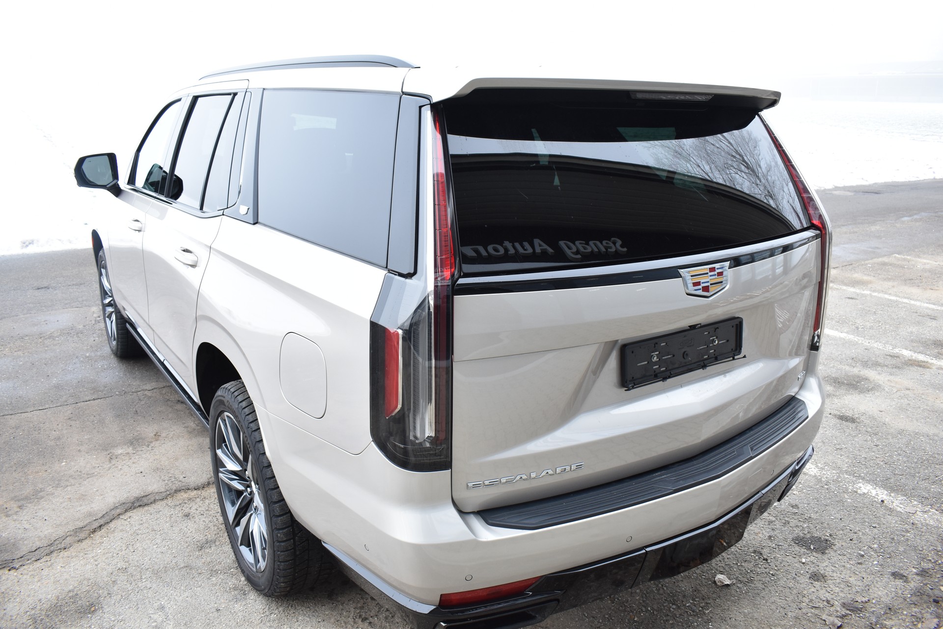 CADILLAC Sport Platinum-image-8