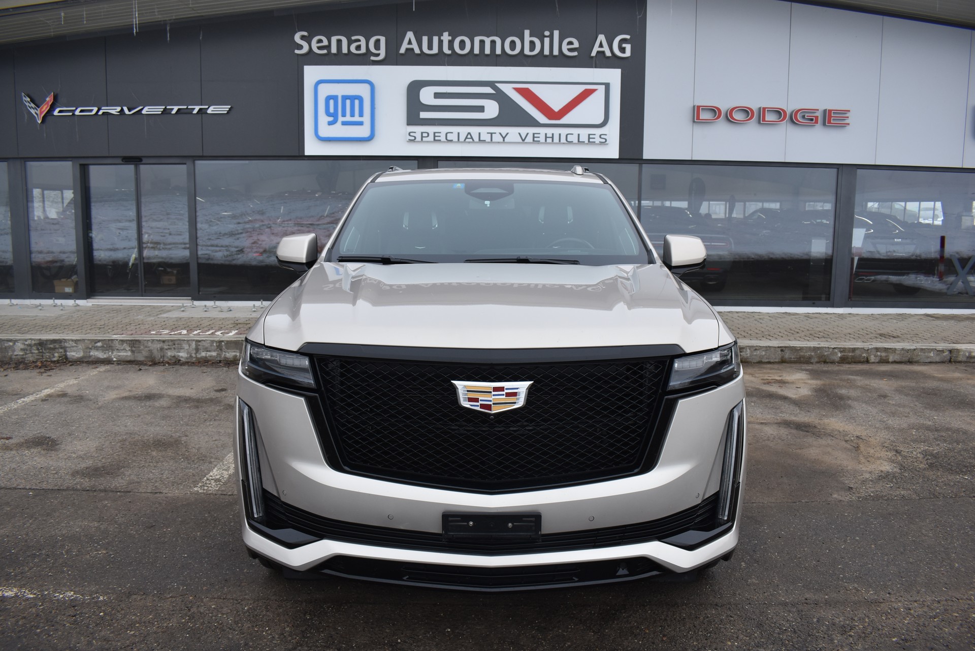 CADILLAC Sport Platinum-image-0