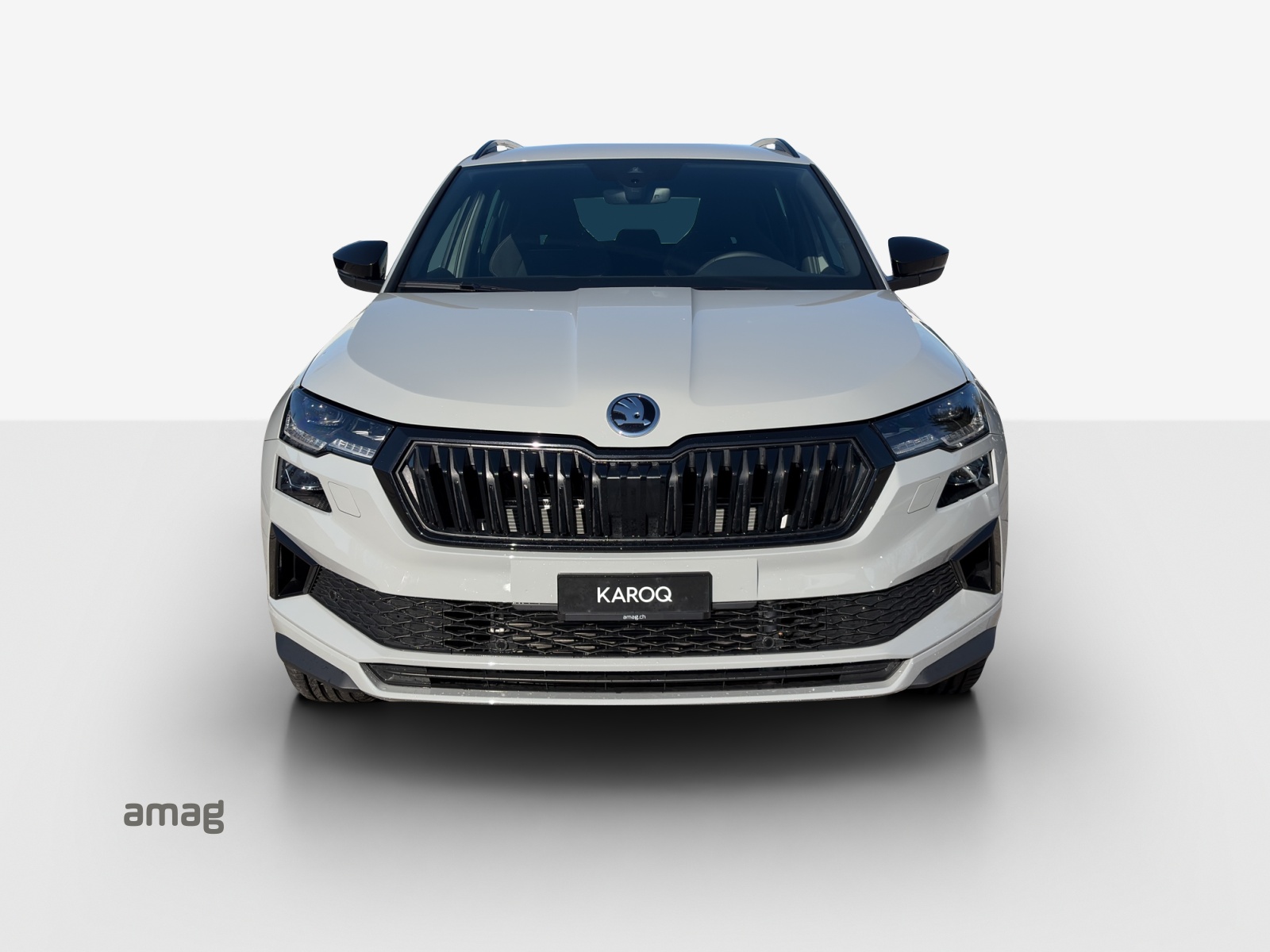 SKODA Dynamic Limited Edition-image-6
