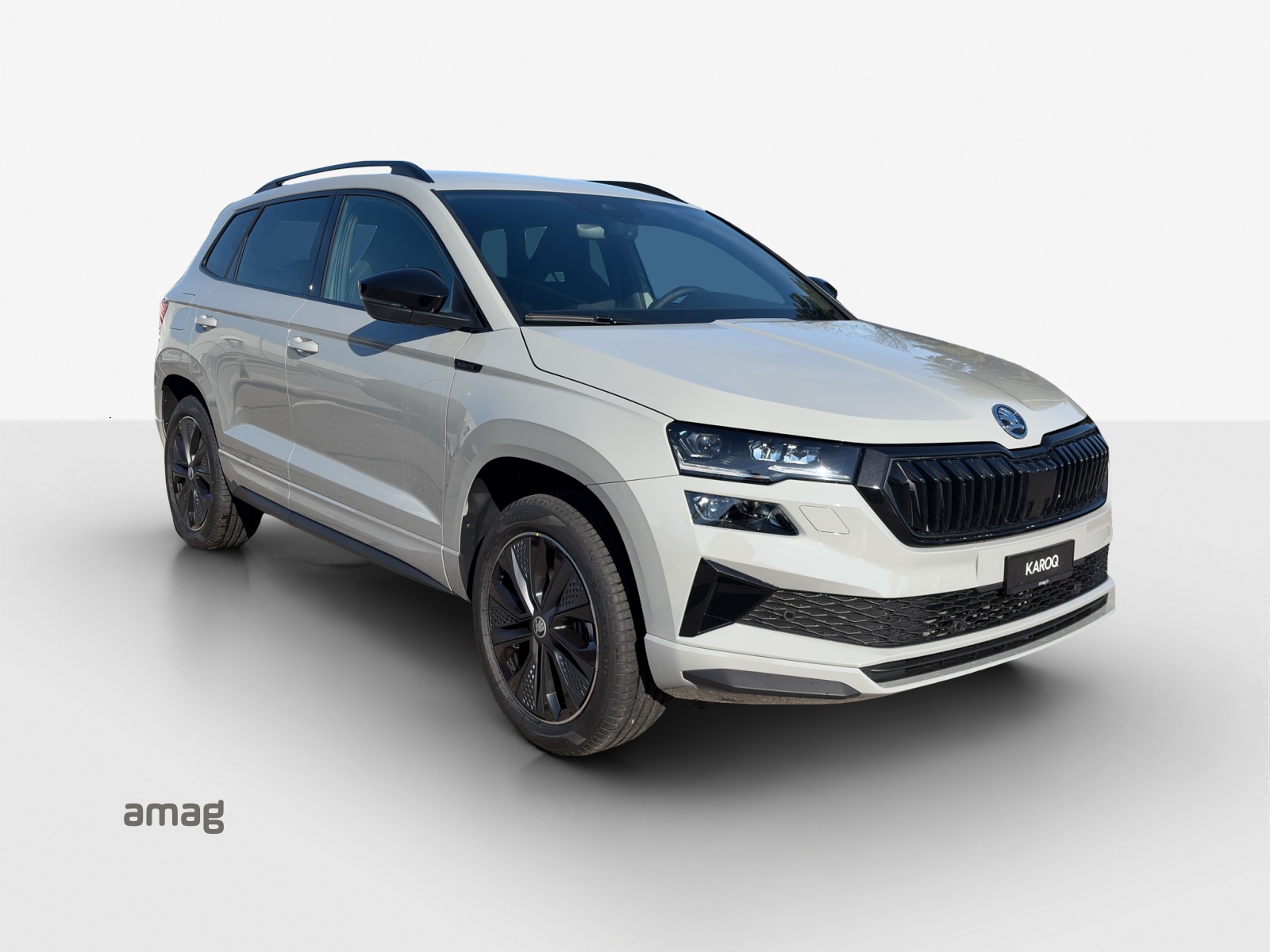 SKODA Dynamic Limited Edition-image-5