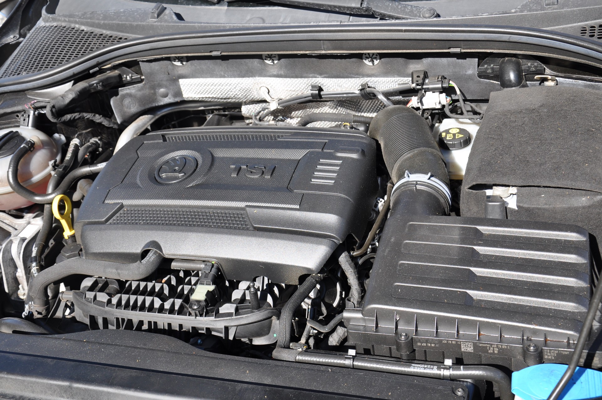 SKODA Octavia Combi 2.0 TSI RS DSG-image-15