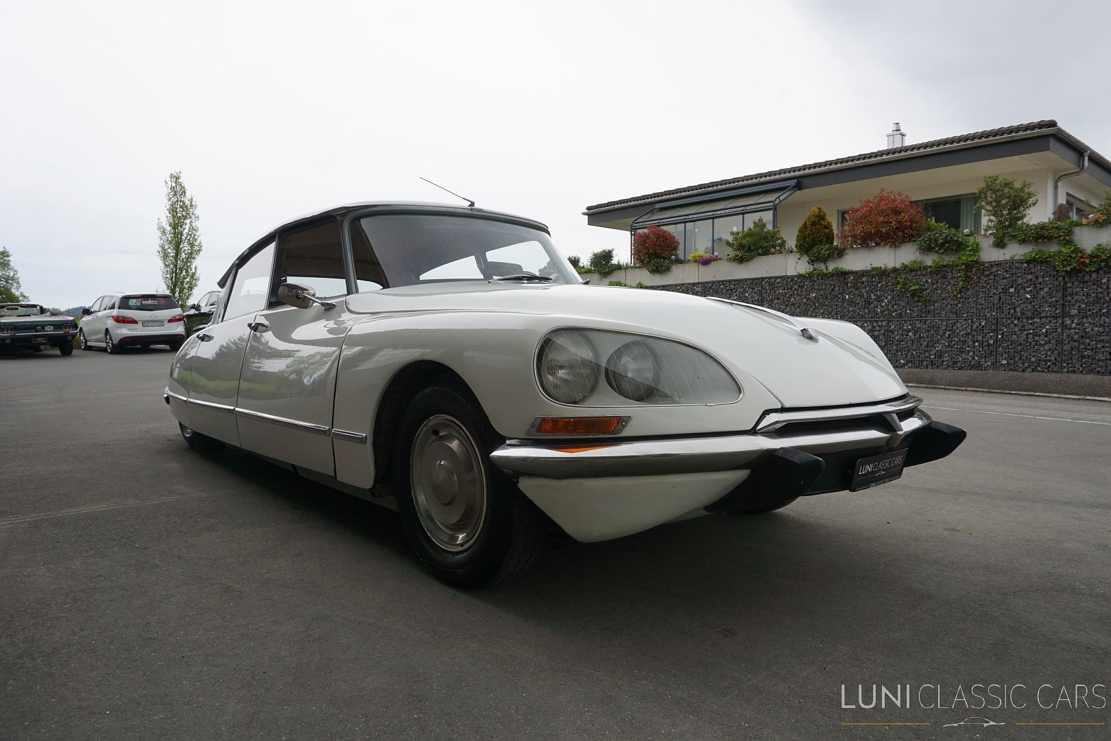 CITROEN D Spécial-image-6
