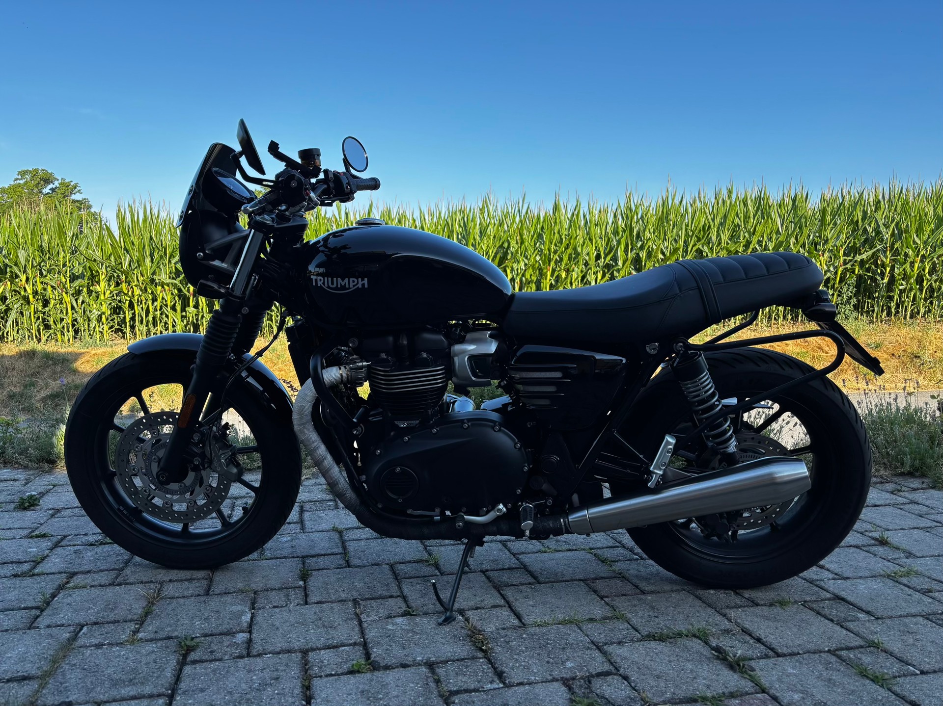 TRIUMPH Speed Twin 900-image-1