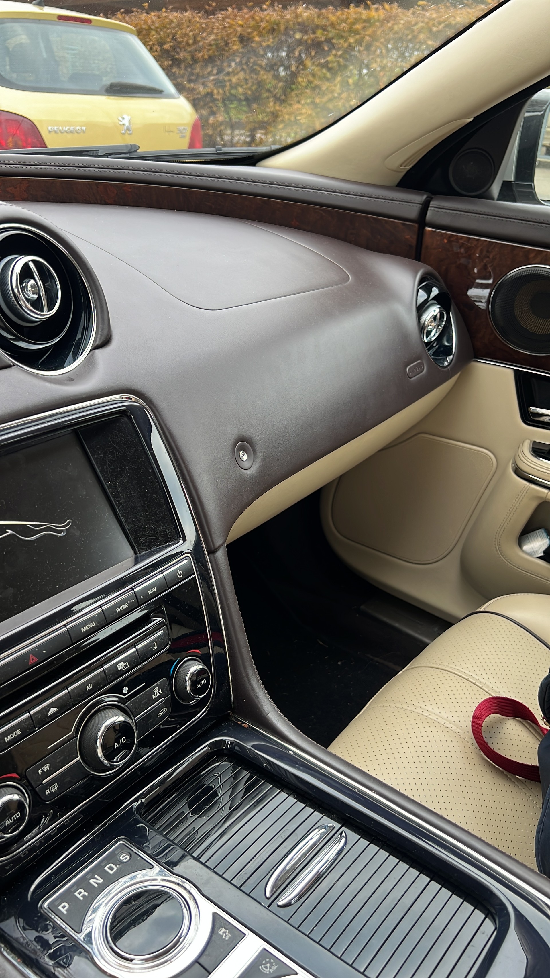 JAGUAR 3.0 V6 D Supersport-image-2