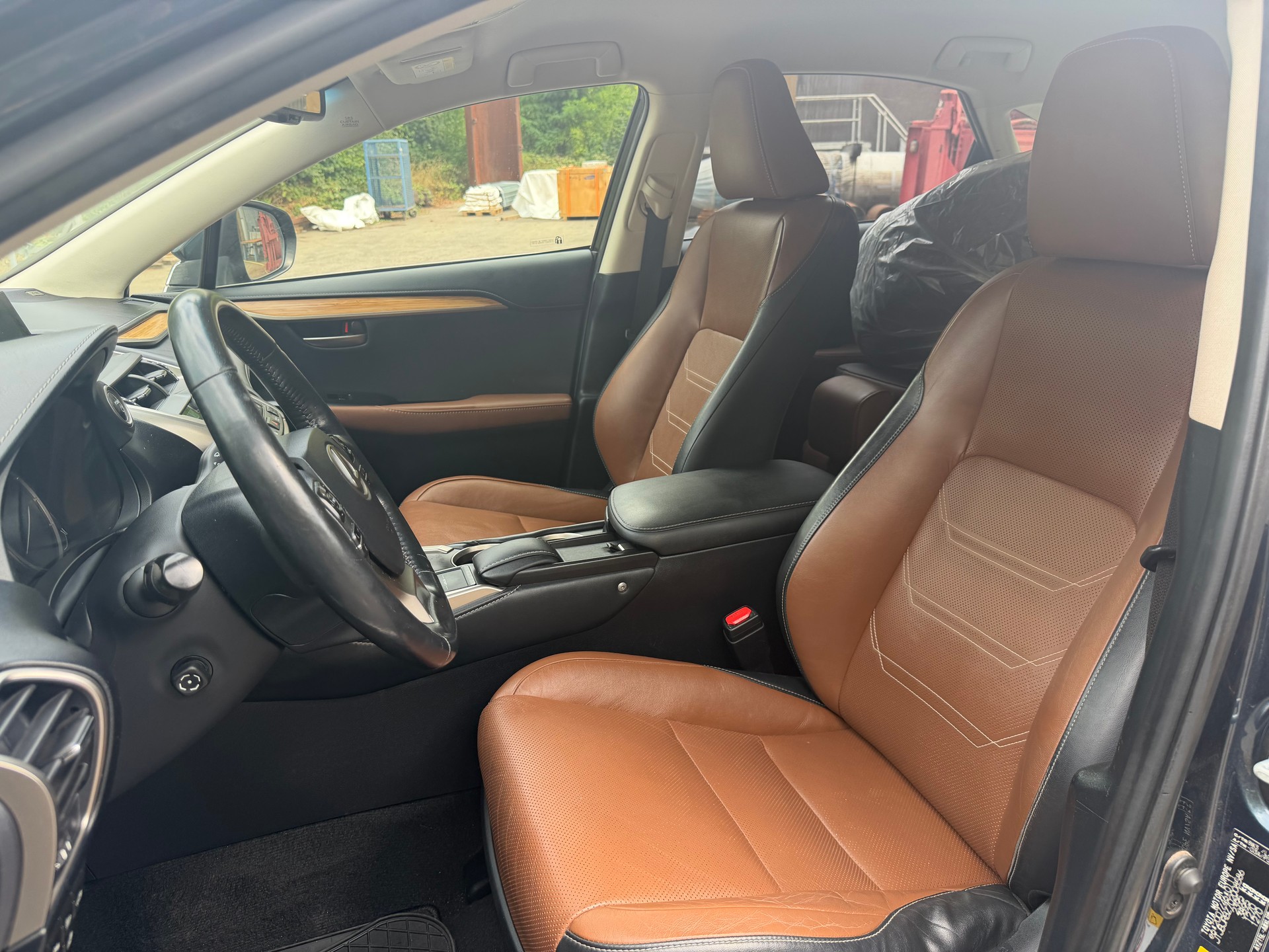 LEXUS NX 300h excellence E-Four Automatic-image-7