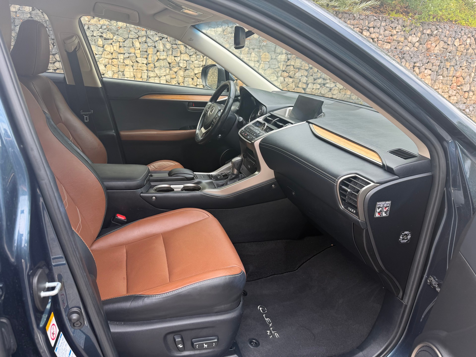 LEXUS NX 300h excellence E-Four Automatic-image-9