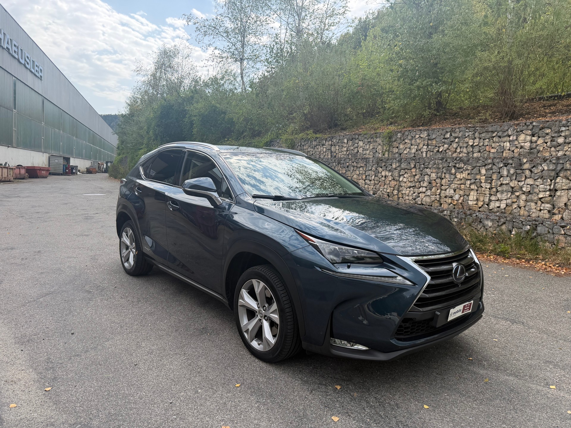 LEXUS NX 300h excellence E-Four Automatic-image-0