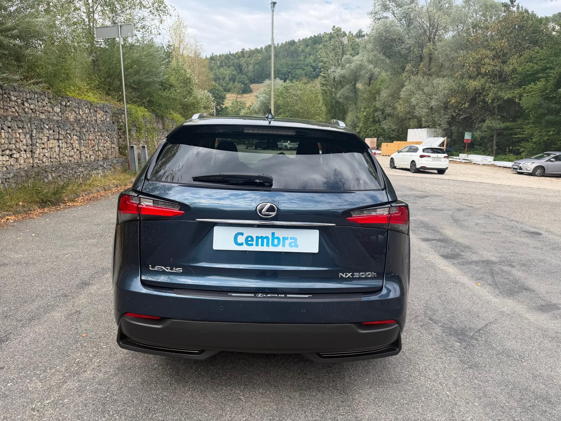LEXUS NX 300h excellence E-Four Automatic-image-5