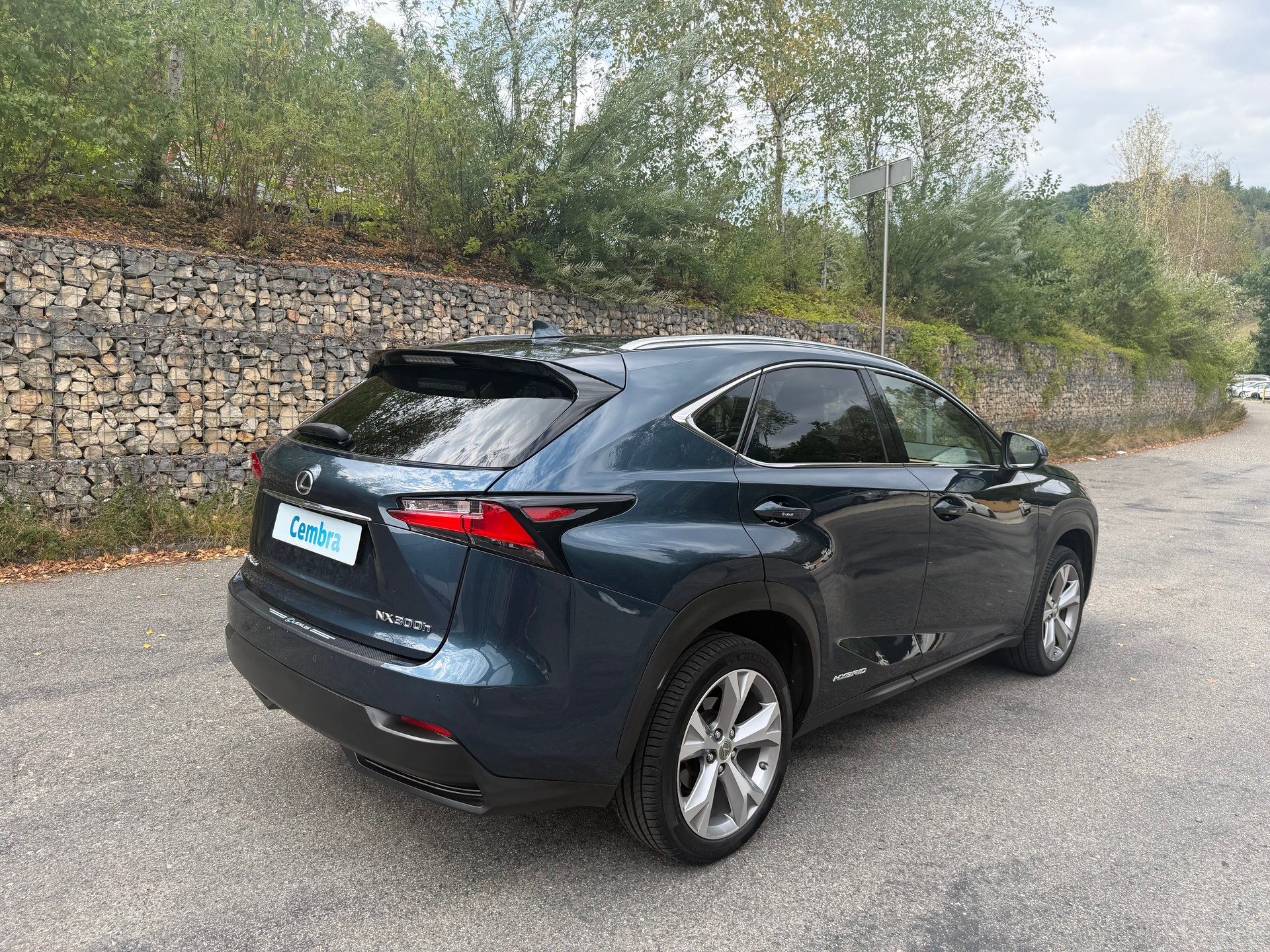 LEXUS NX 300h excellence E-Four Automatic-image-4