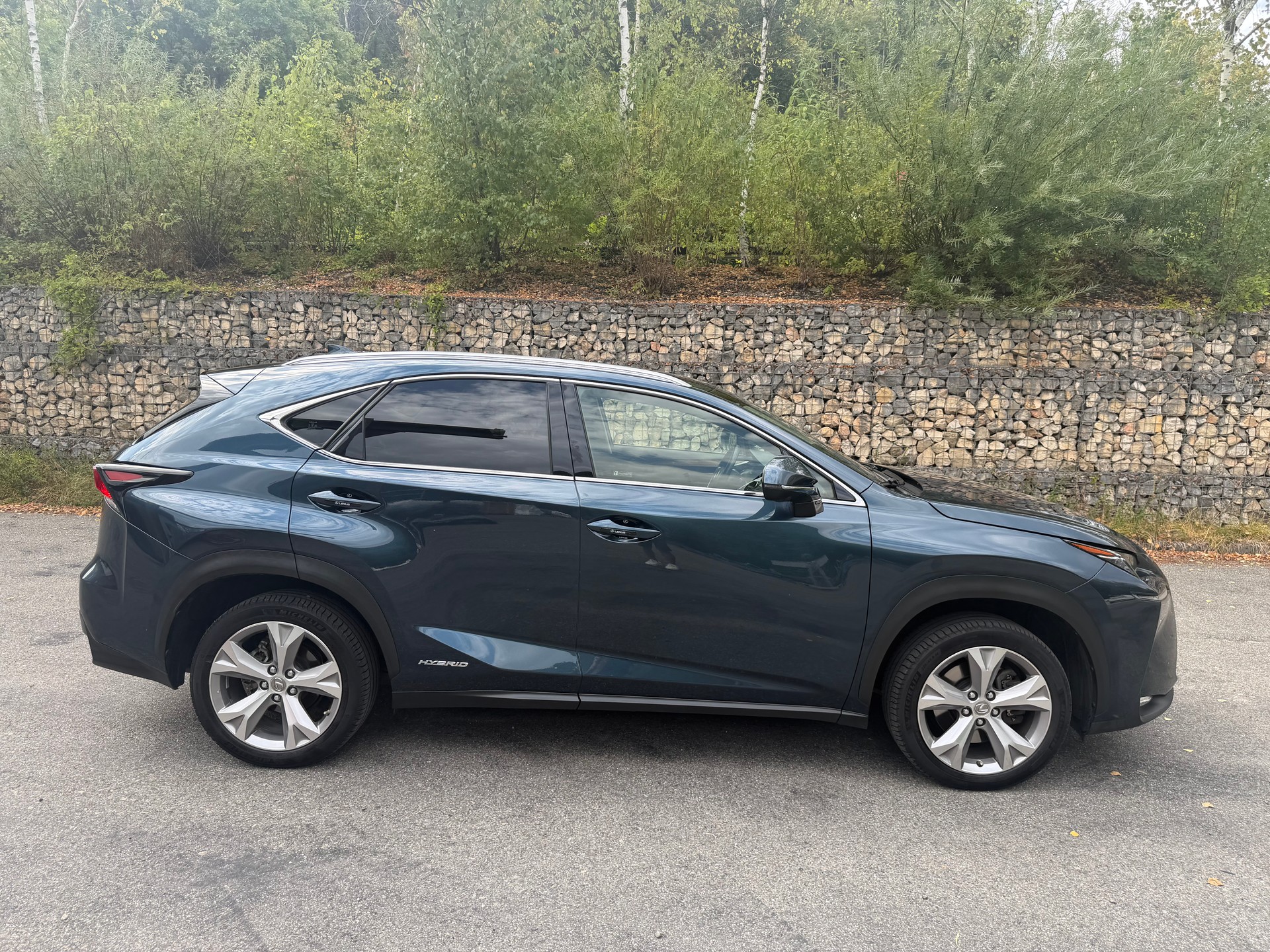 LEXUS NX 300h excellence E-Four Automatic-image-3