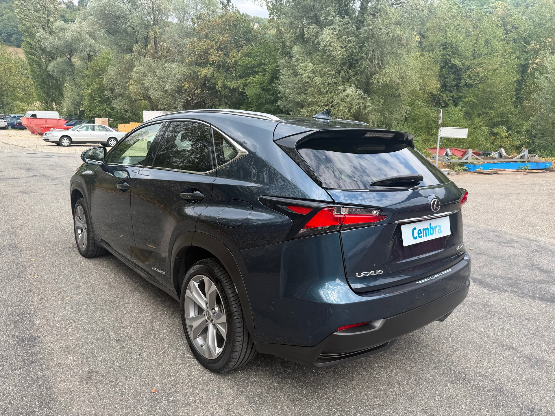 LEXUS NX 300h excellence E-Four Automatic-image-6
