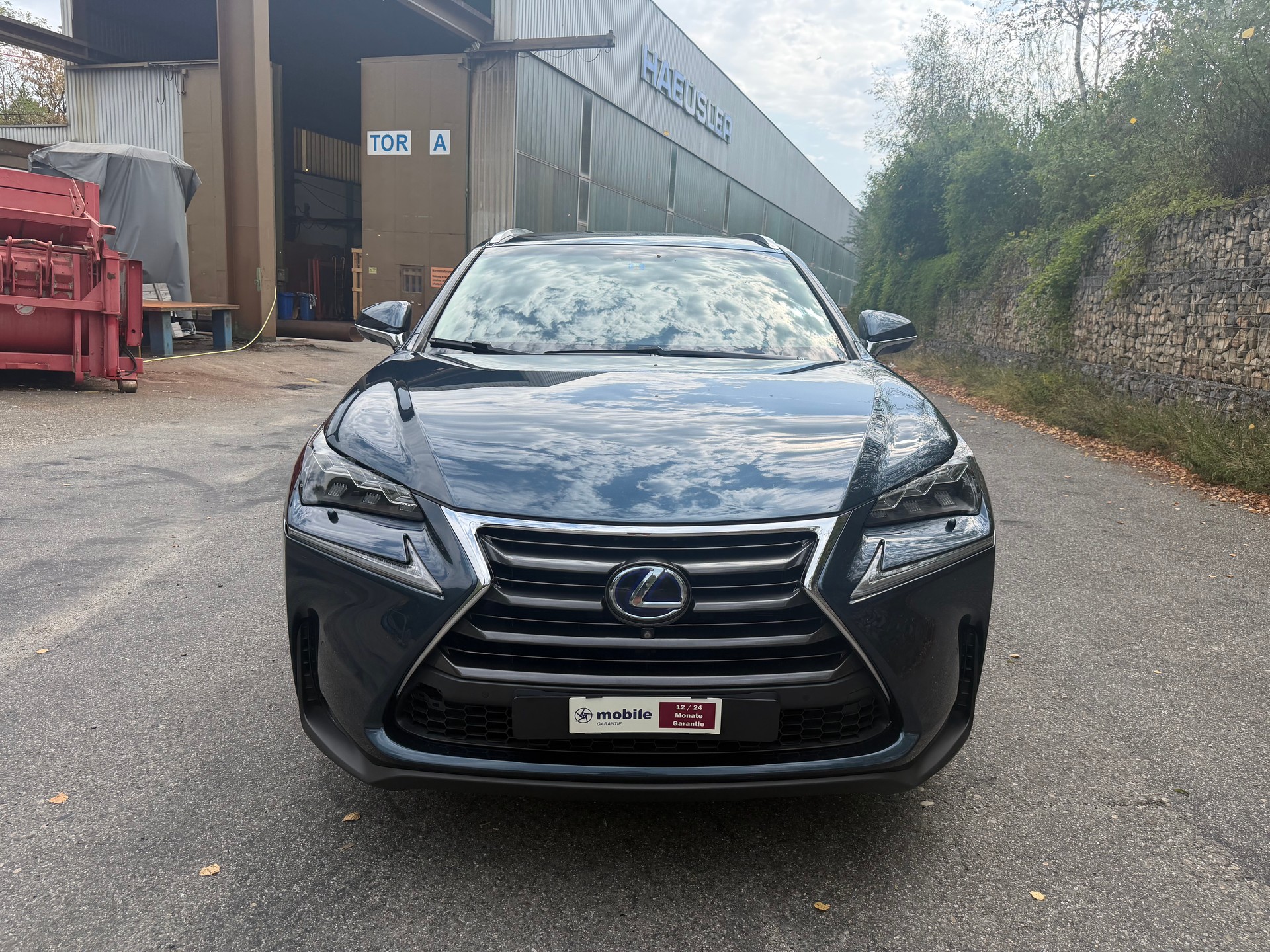LEXUS NX 300h excellence E-Four Automatic-image-1