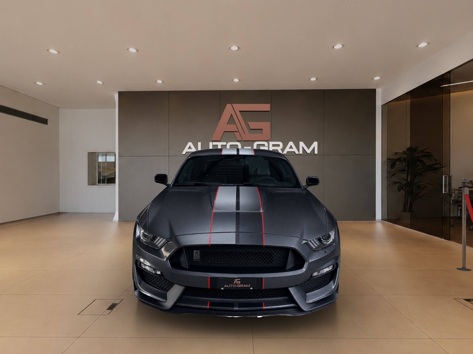FORD Ford Mustang Shelby GT350-image-7