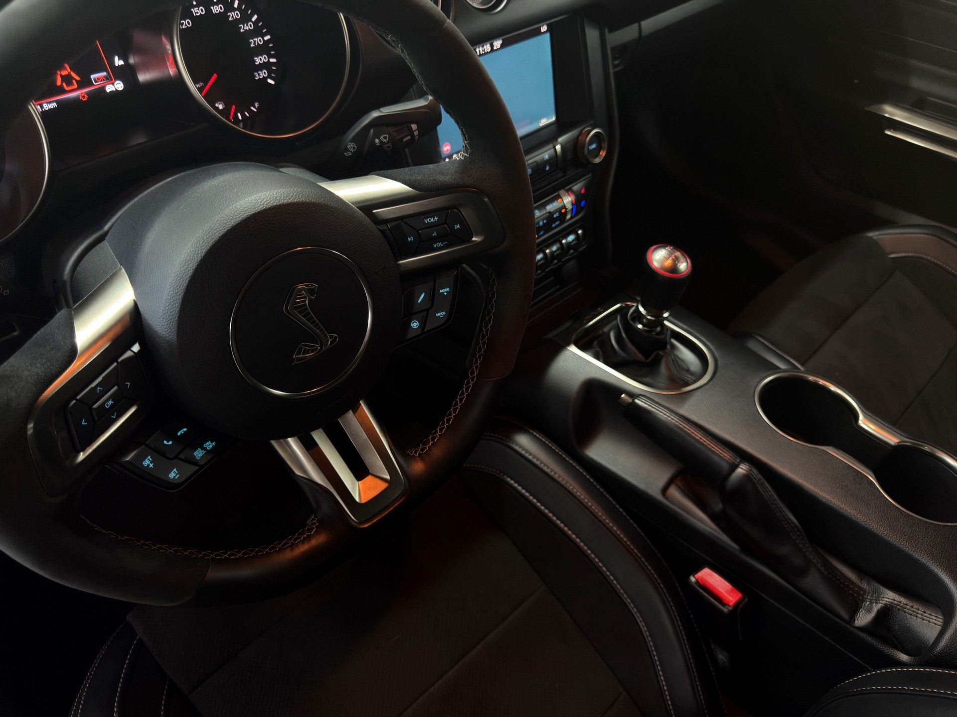 FORD Ford Mustang Shelby GT350-image-19