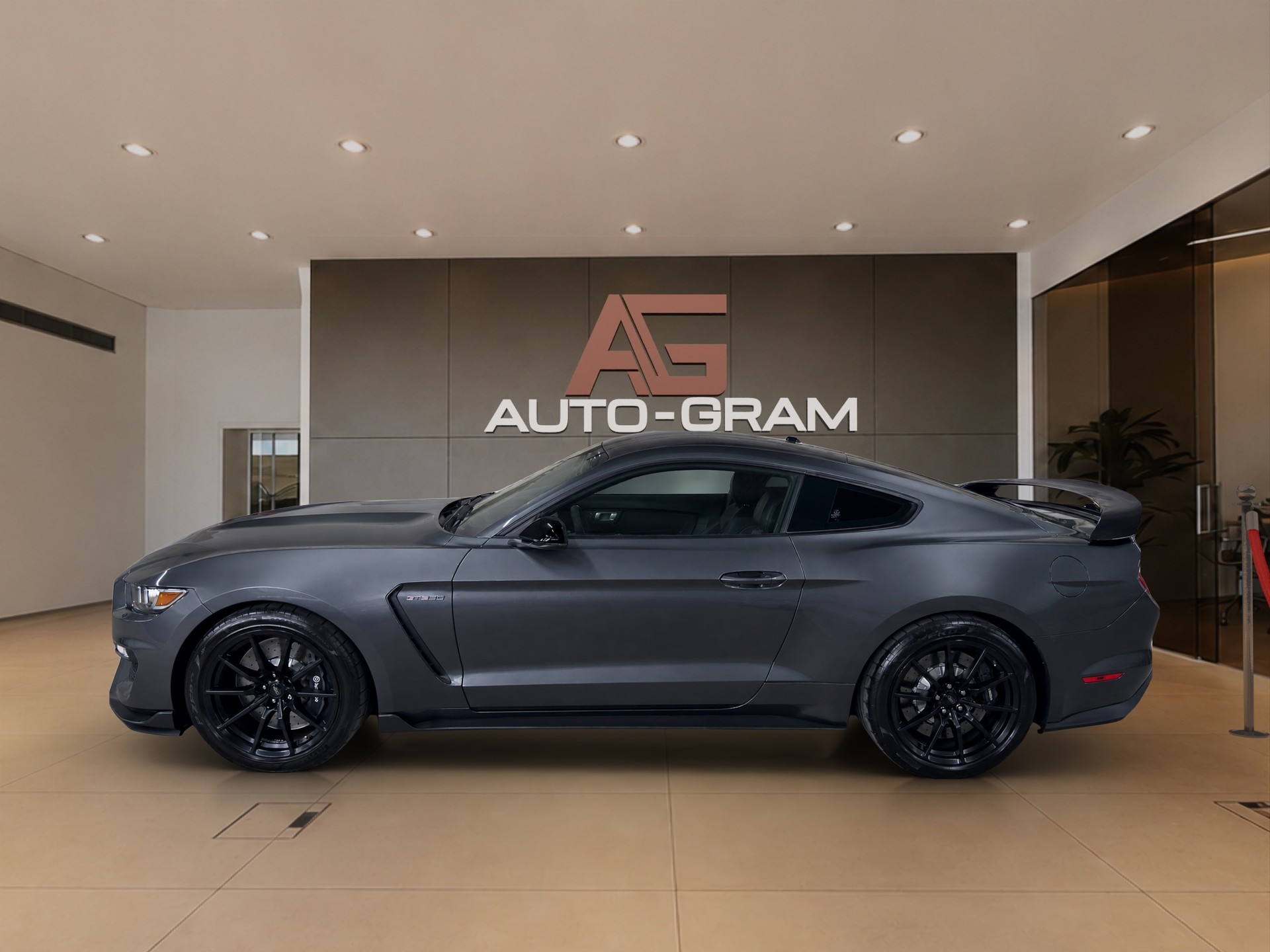 FORD Ford Mustang Shelby GT350-showroom-element-1