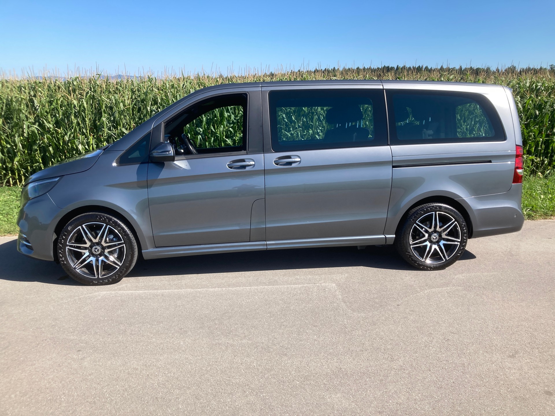 MERCEDES-BENZ V 300 d lang 4Matic 9G-Tronic-image-4
