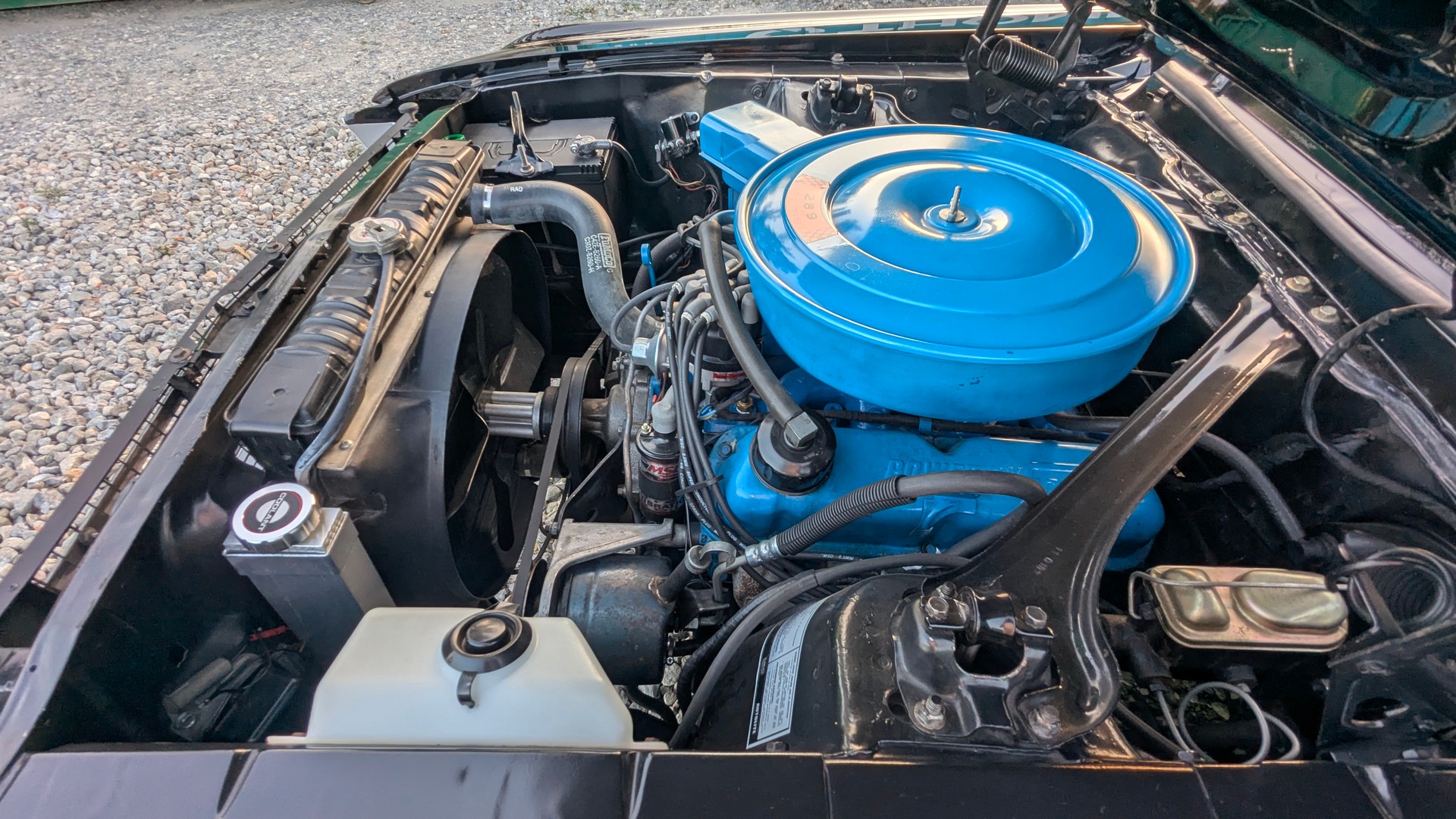 FORD C-Code V8 289-2V, 200 PS-image-14