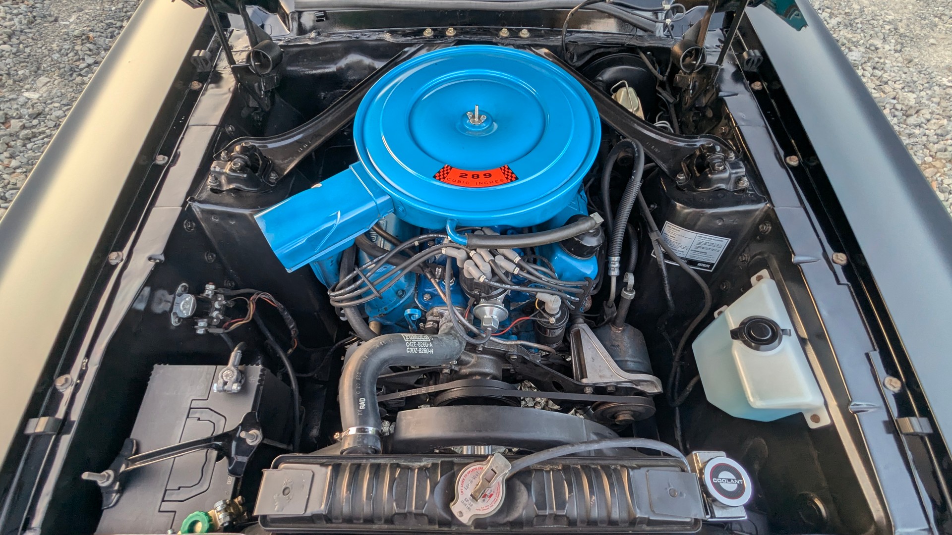 FORD C-Code V8 289-2V, 200 PS-image-12
