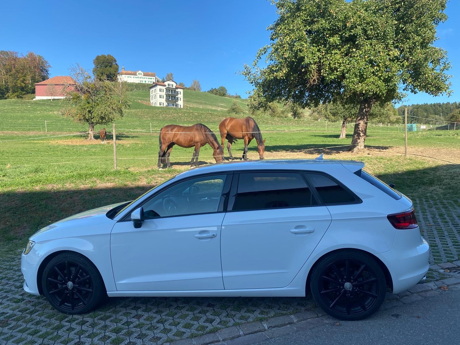 AUDI A3 Sportback 2.0 TDI Attraction quattro S-tronic-image-2