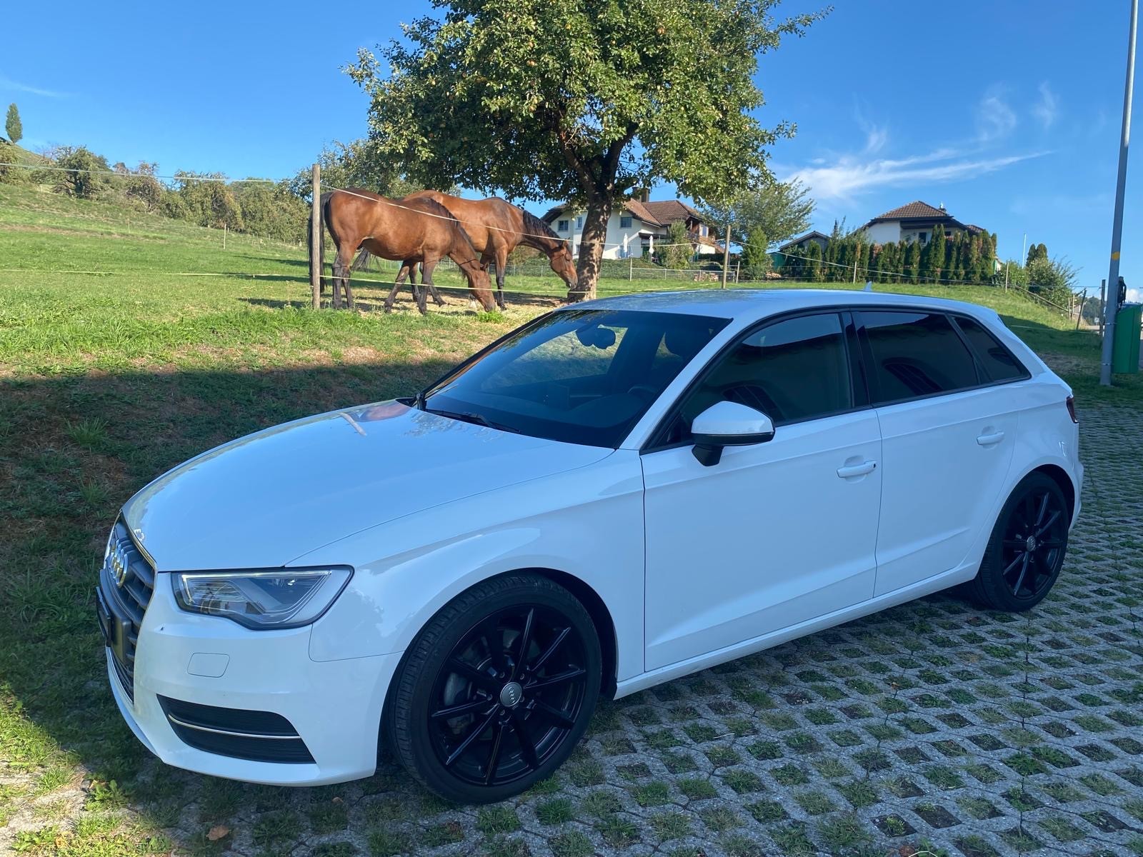 AUDI A3 Sportback 2.0 TDI Attraction quattro S-tronic-image-4