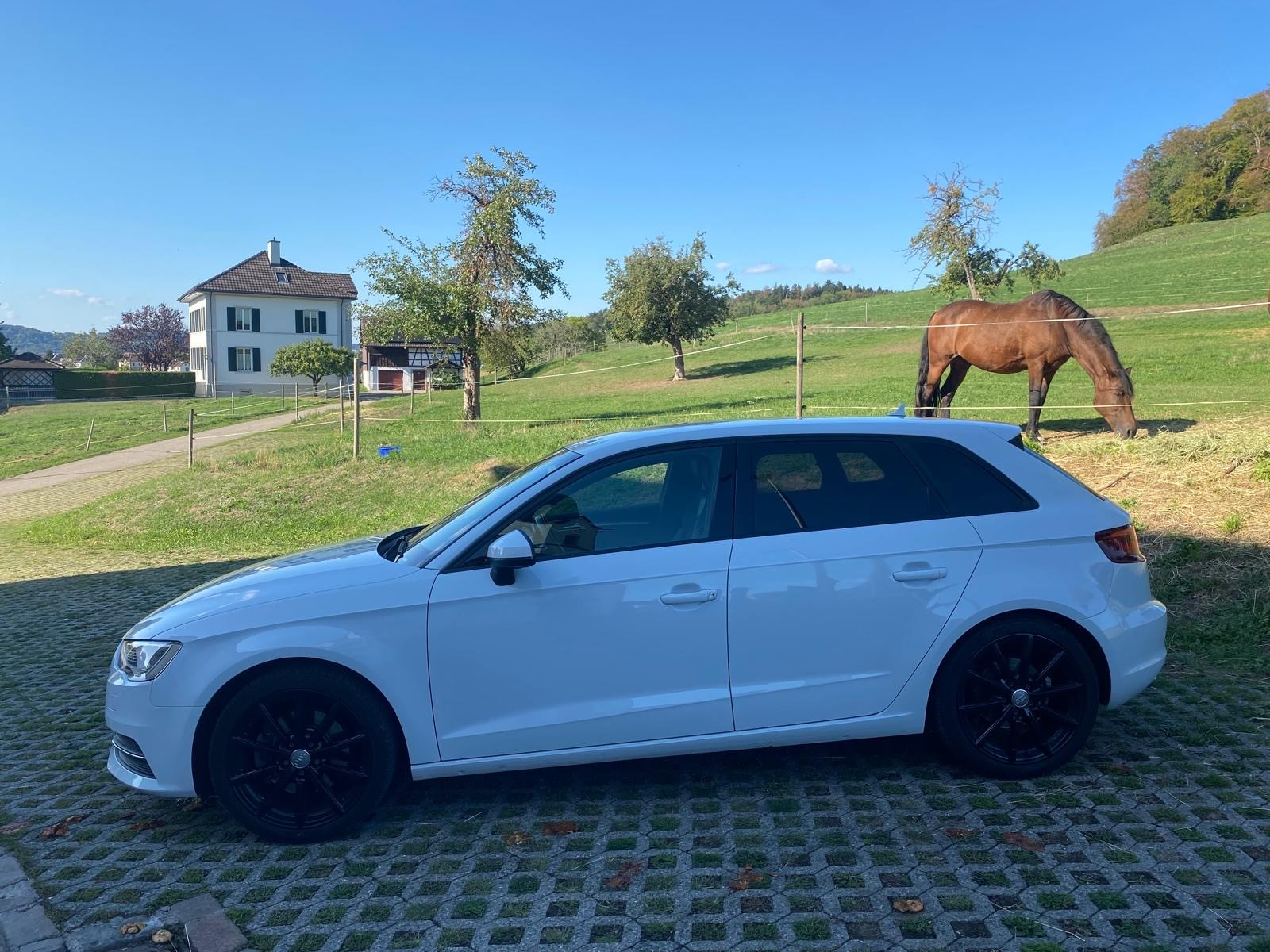 AUDI A3 Sportback 2.0 TDI Attraction quattro S-tronic-image-6