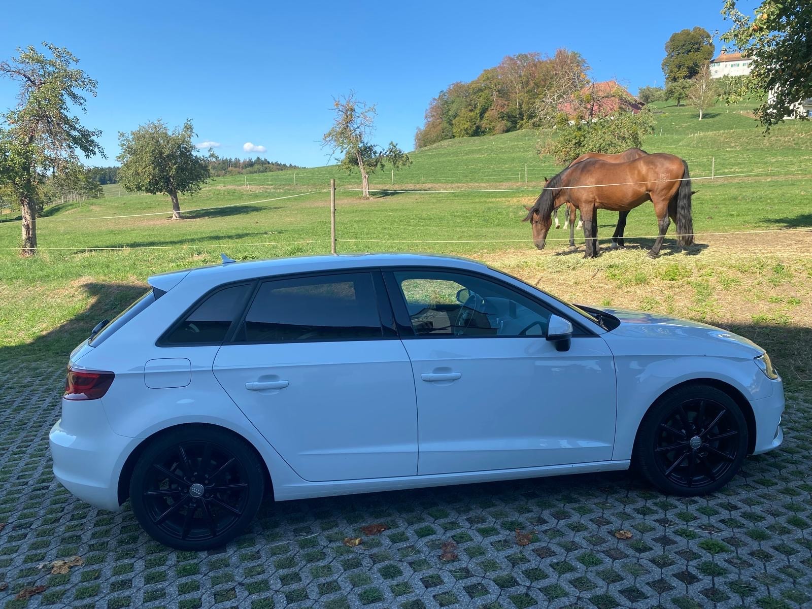 AUDI A3 Sportback 2.0 TDI Attraction quattro S-tronic-image-7
