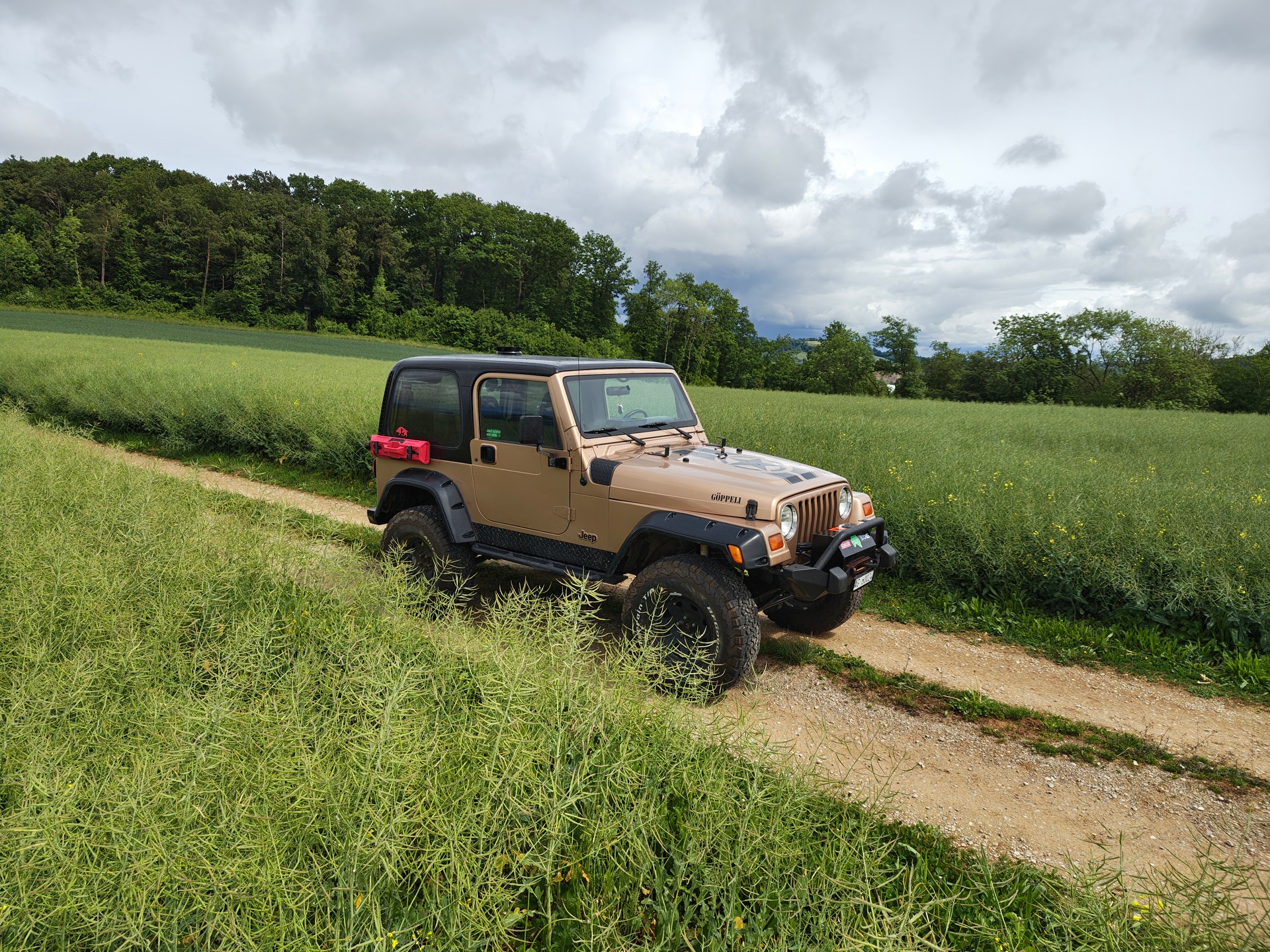 JEEP 4.0 TJ Rockcrawler-image-7