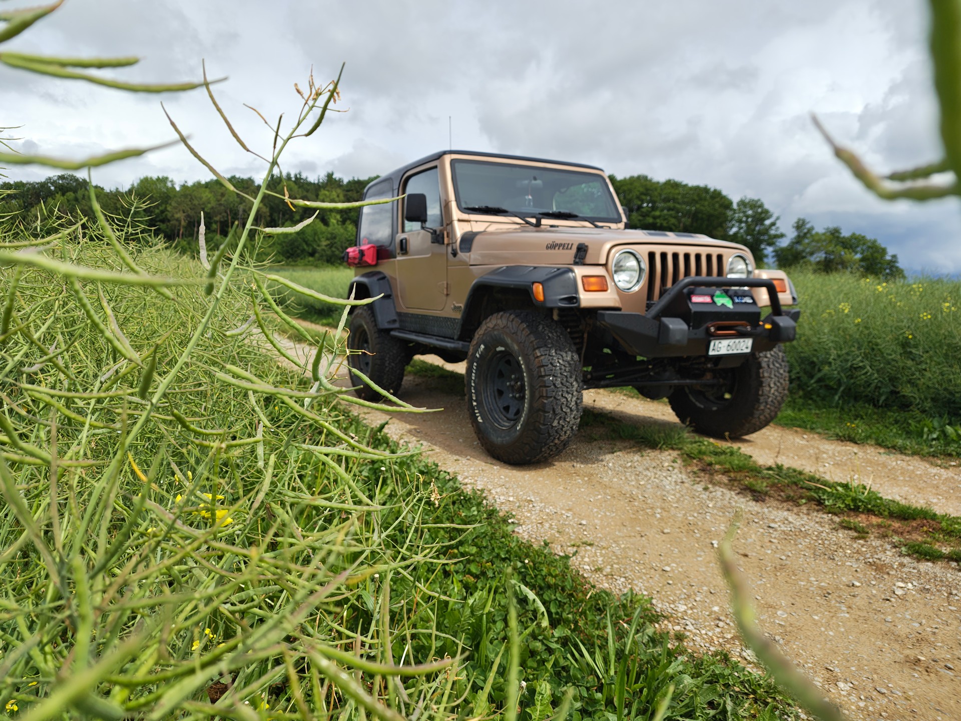 JEEP 4.0 TJ Rockcrawler-image-5