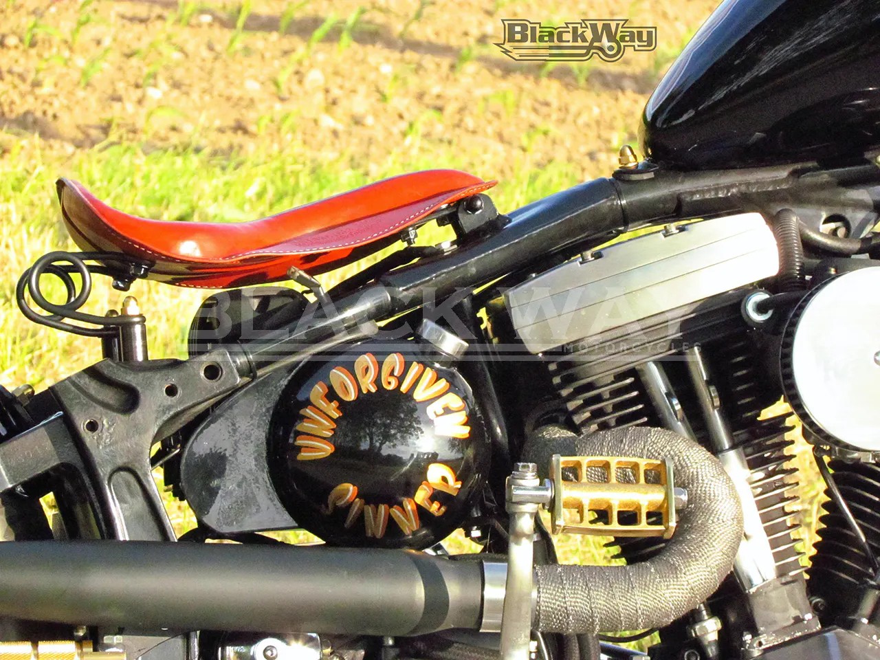 HARLEY-DAVIDSON FXSTC Softail custom-image-4