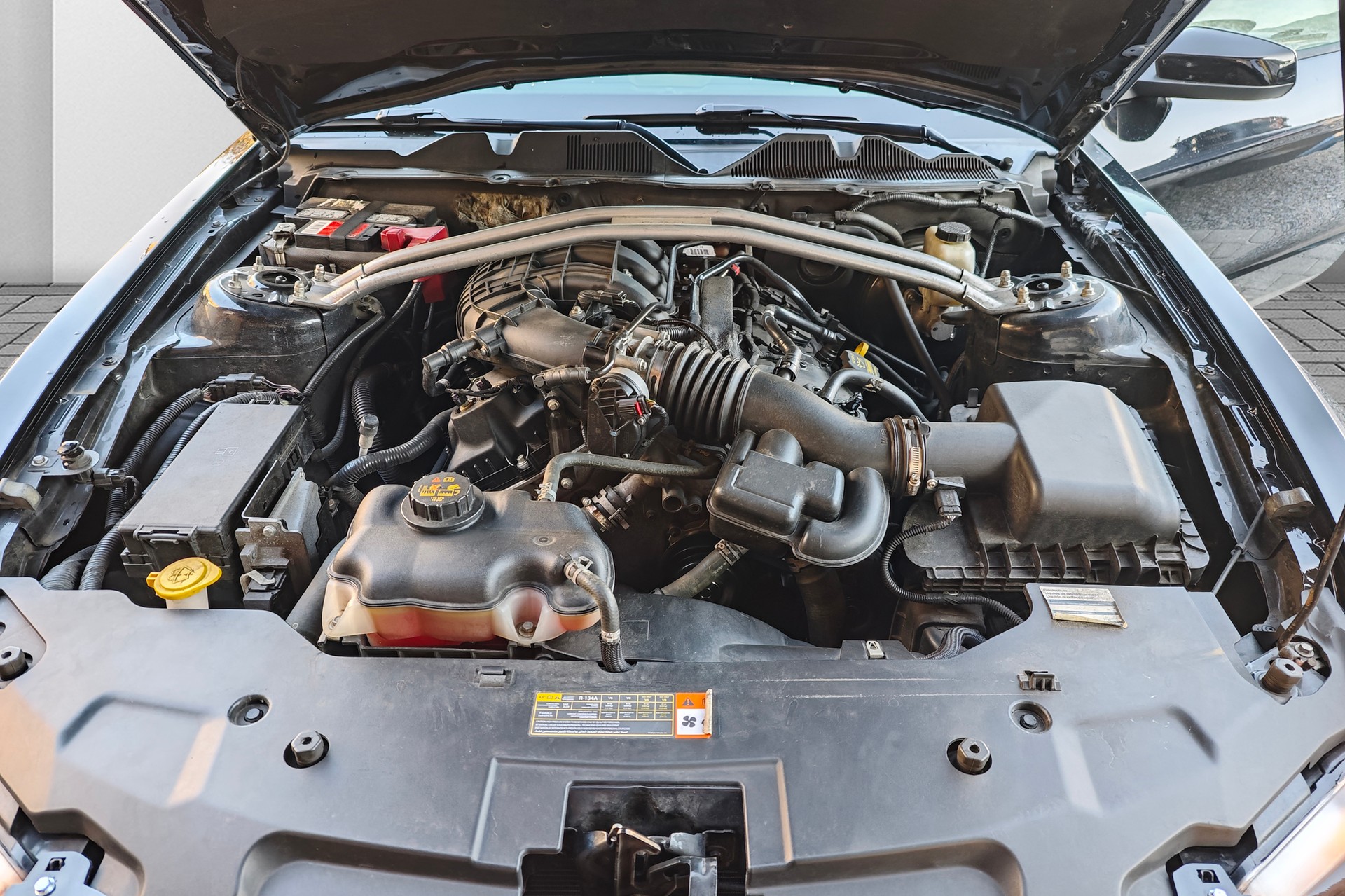 FORD MUSTANG-image-11