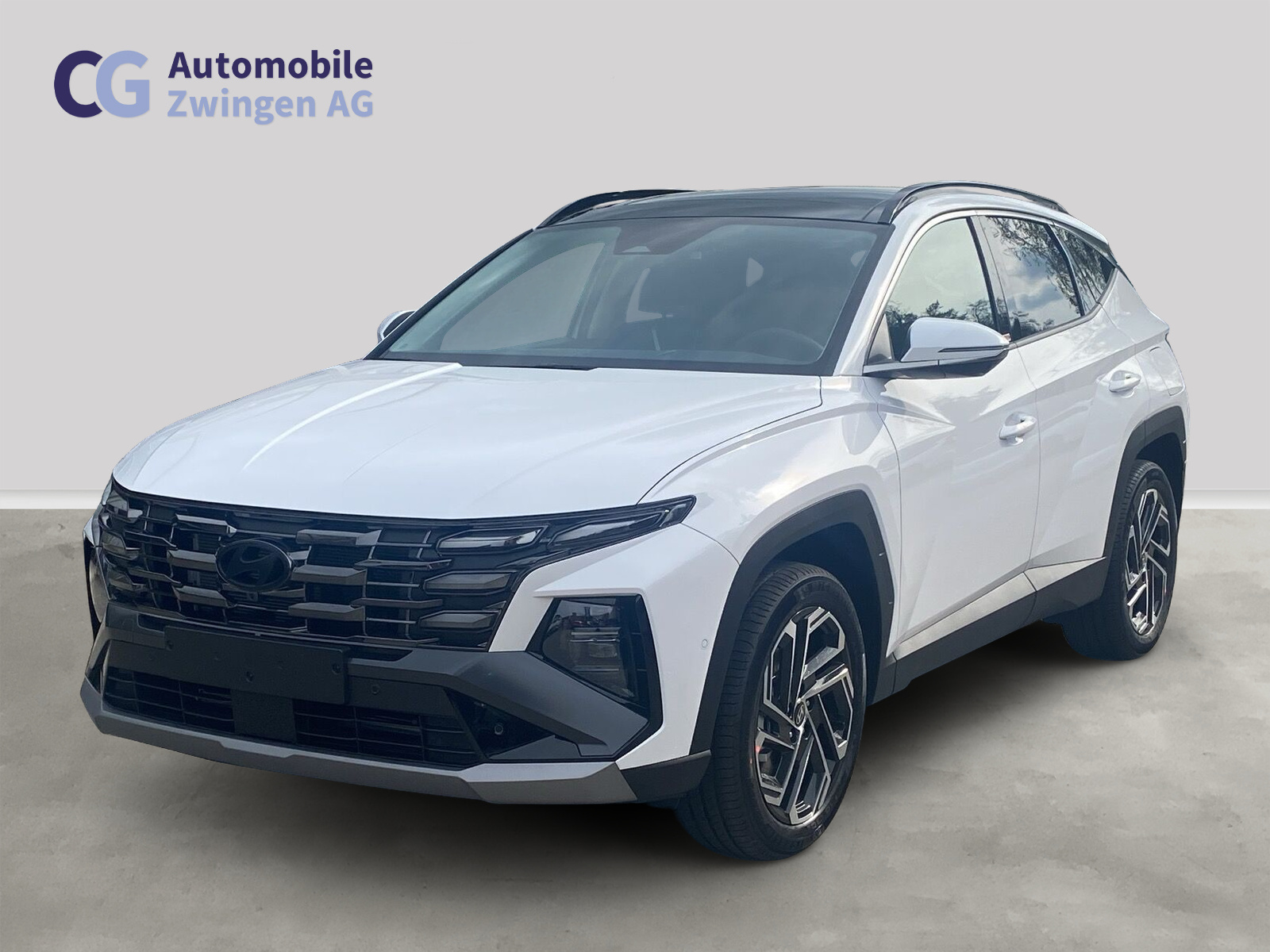 HYUNDAI Tucson 1.6 TGDI HEV Swiss Edition 4WD-image-0