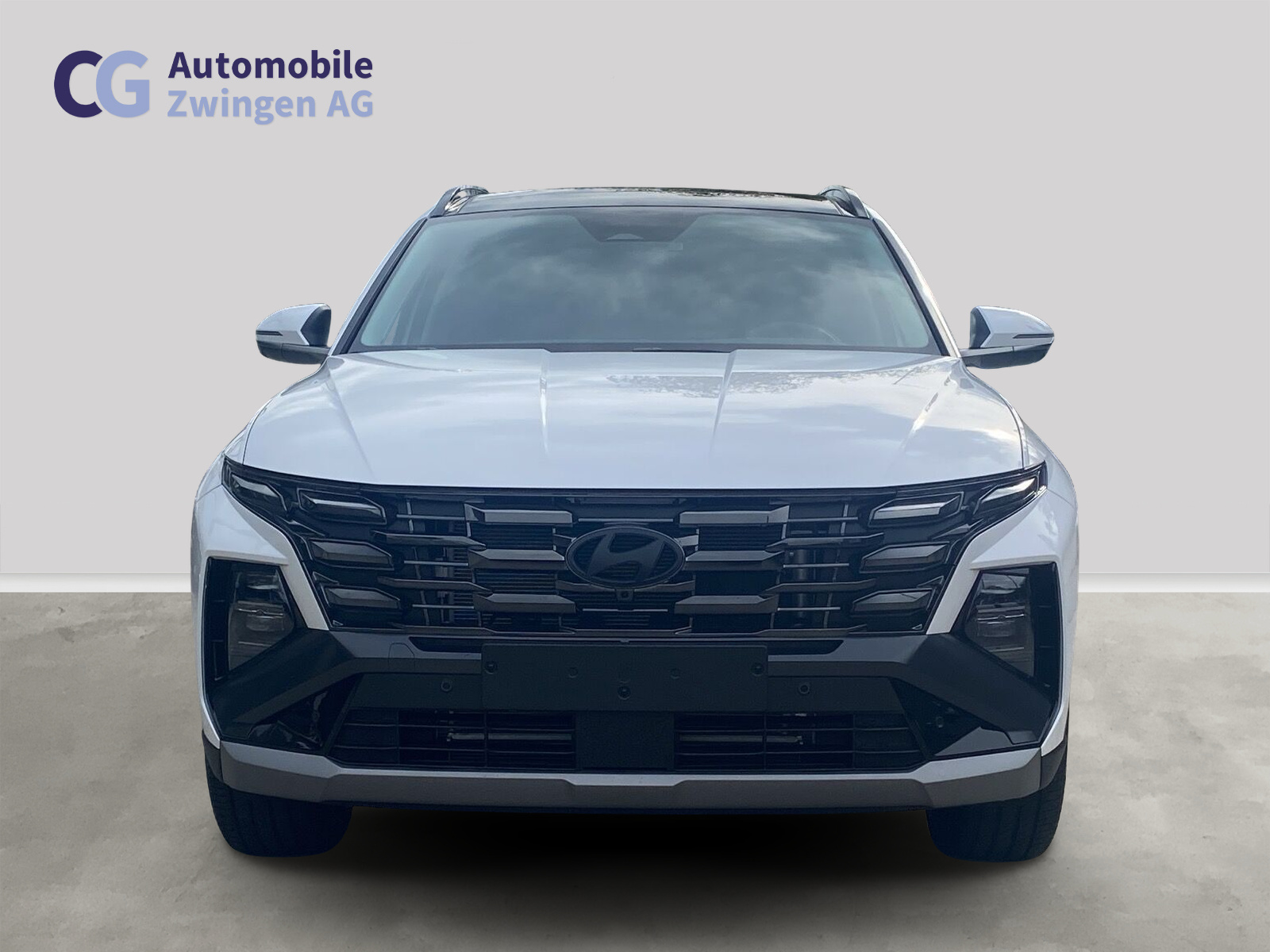 HYUNDAI Tucson 1.6 TGDI HEV Swiss Edition 4WD-image-1