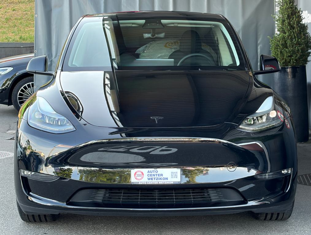 TESLA Model Y Performance
