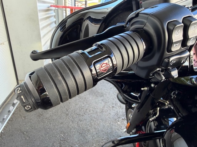 HARLEY-DAVIDSON FLHXS Street Glide Special 114-image-9