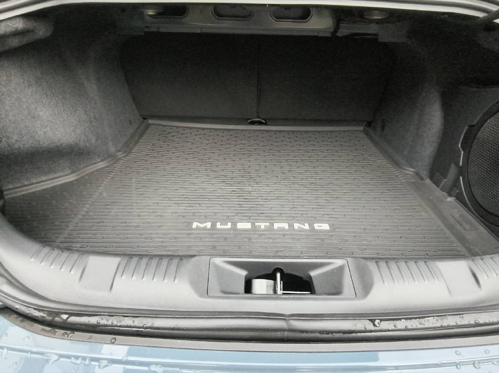 FORD Mustang Coupé 5.0 V8 Dark Horse-image-12