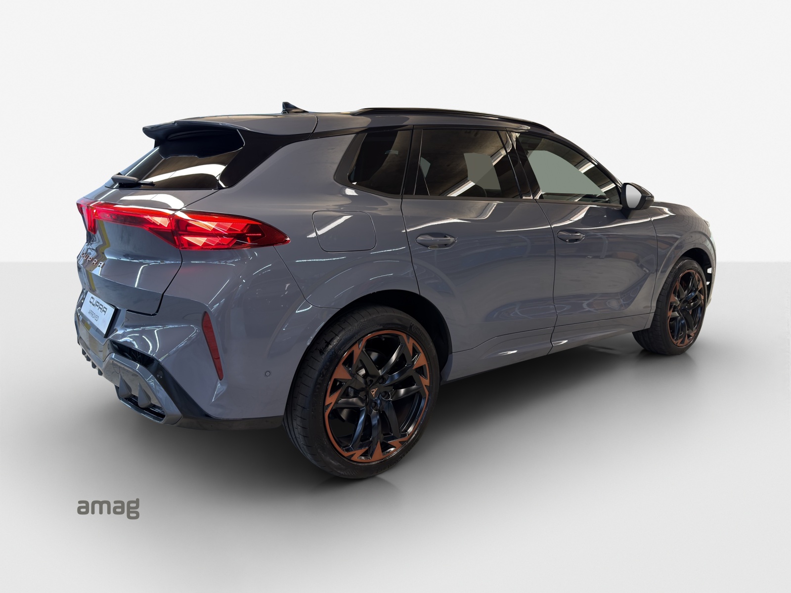 CUPRA Terramar 2.0 TSI DSG 4Drive VZ-image-4