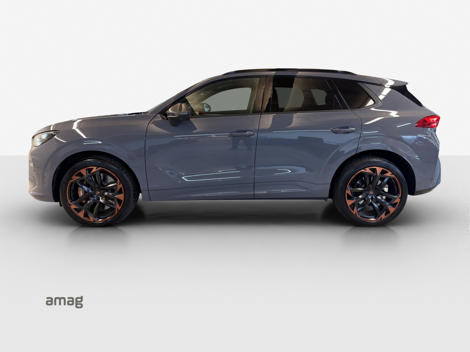 CUPRA Terramar 2.0 TSI DSG 4Drive VZ-image-1