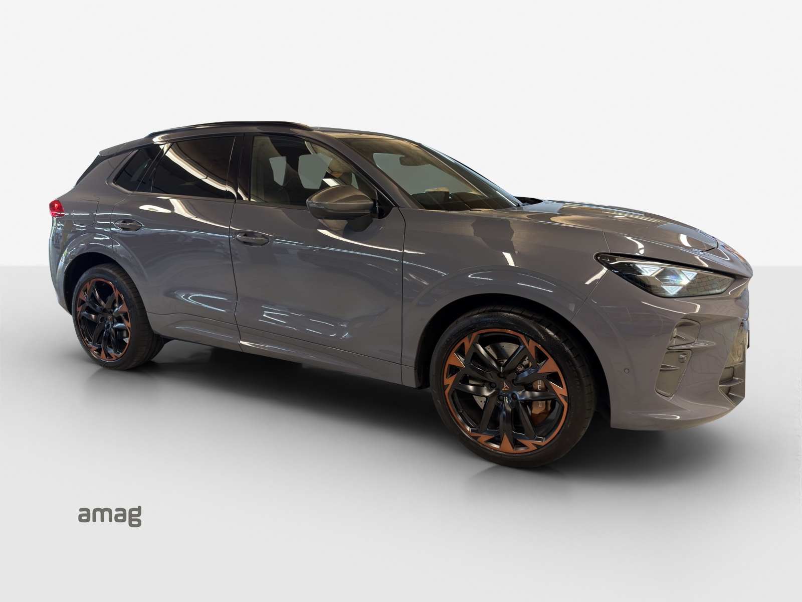 CUPRA Terramar 2.0 TSI DSG 4Drive VZ-image-5