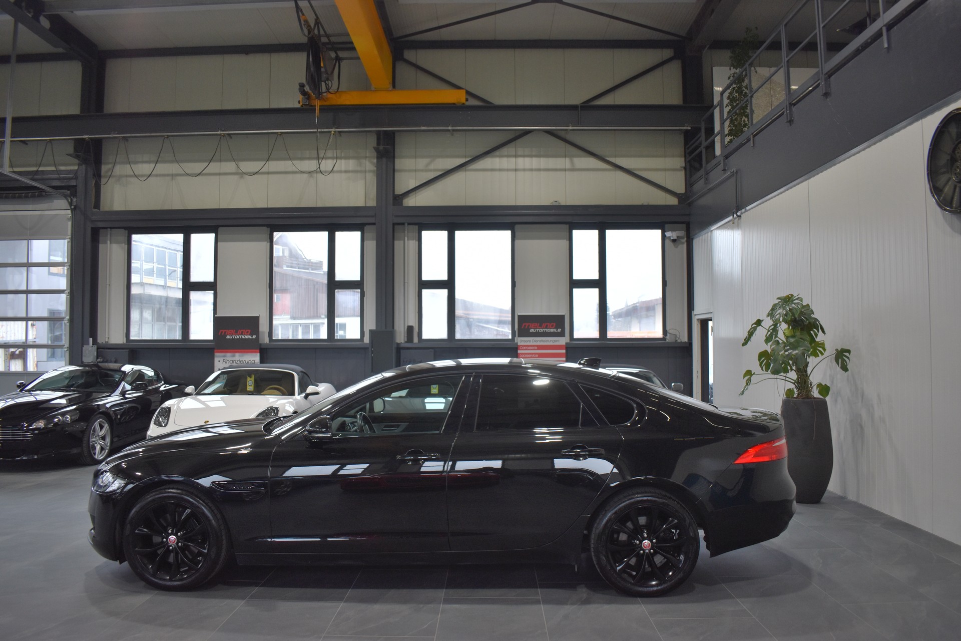 JAGUAR XF 25t Portfolio Automatic-image-4